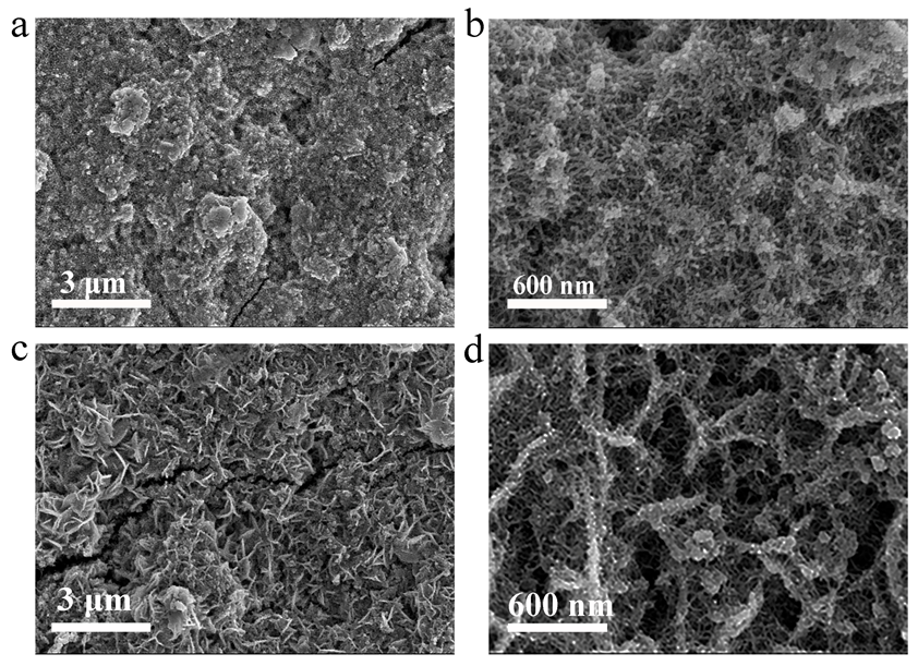 Inorganics 12 00117 g004