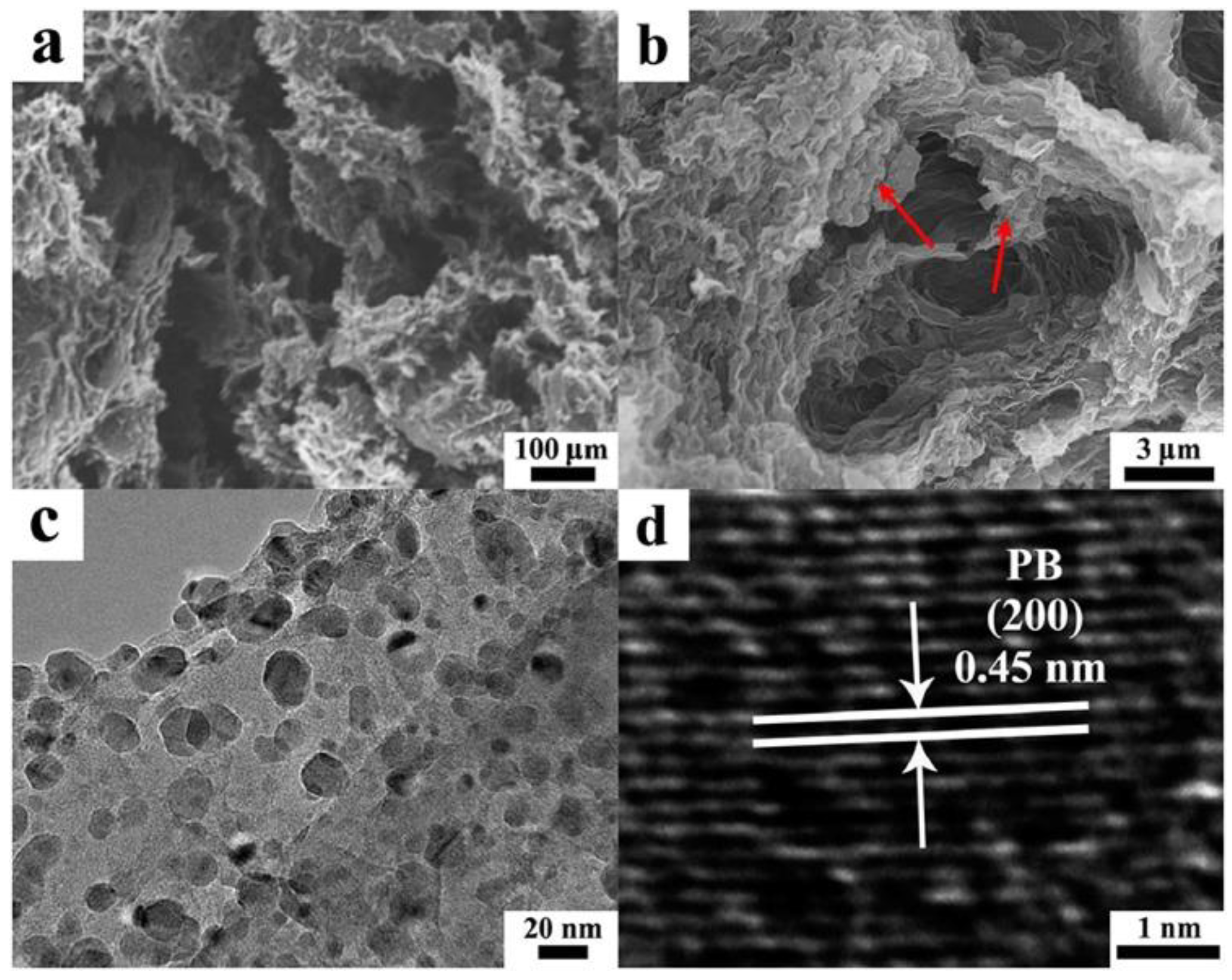 Inorganics 12 00124 g006