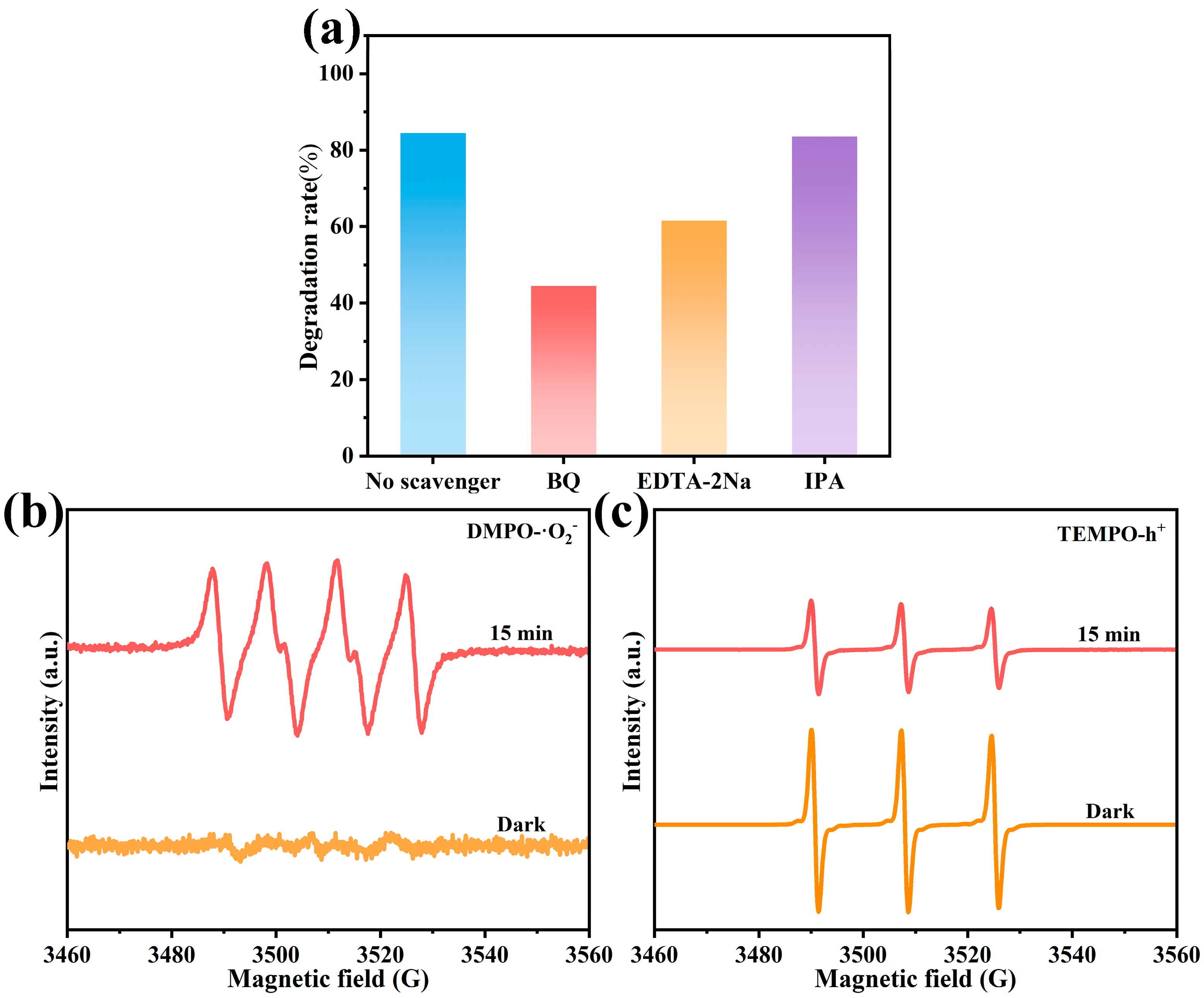 Inorganics 12 00127 g012