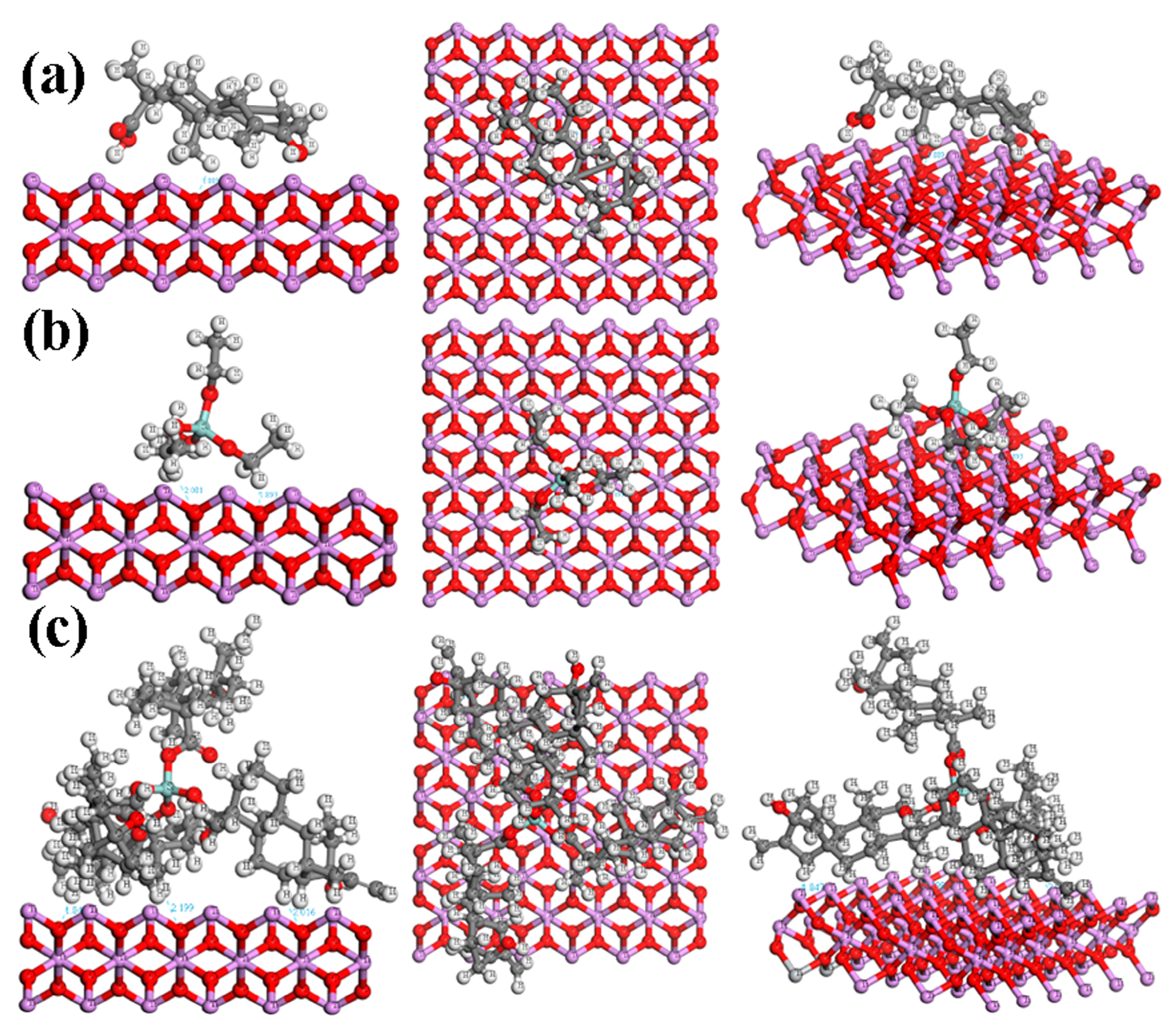 Inorganics 12 00134 g008