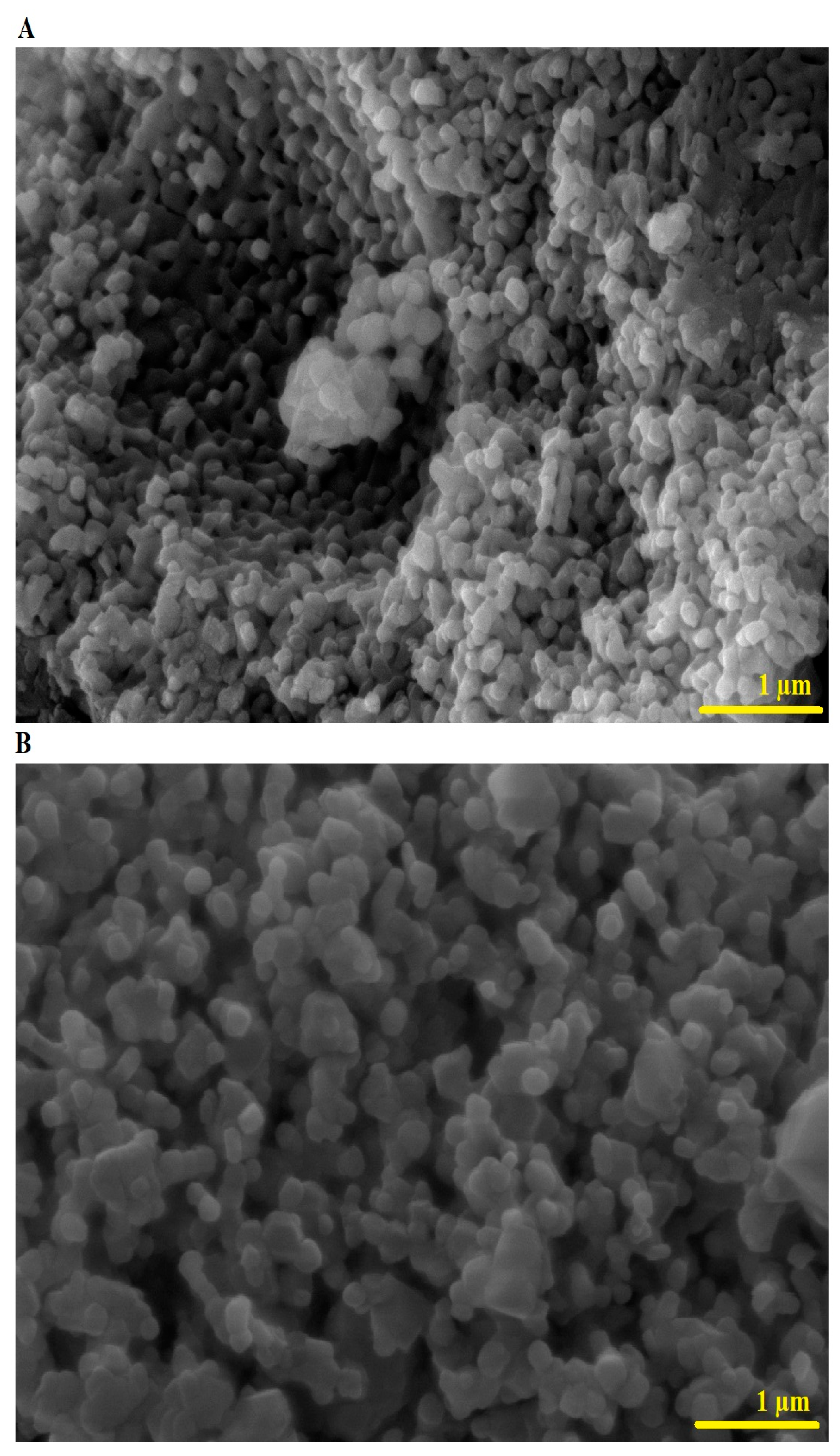 Inorganics 12 00143 g004