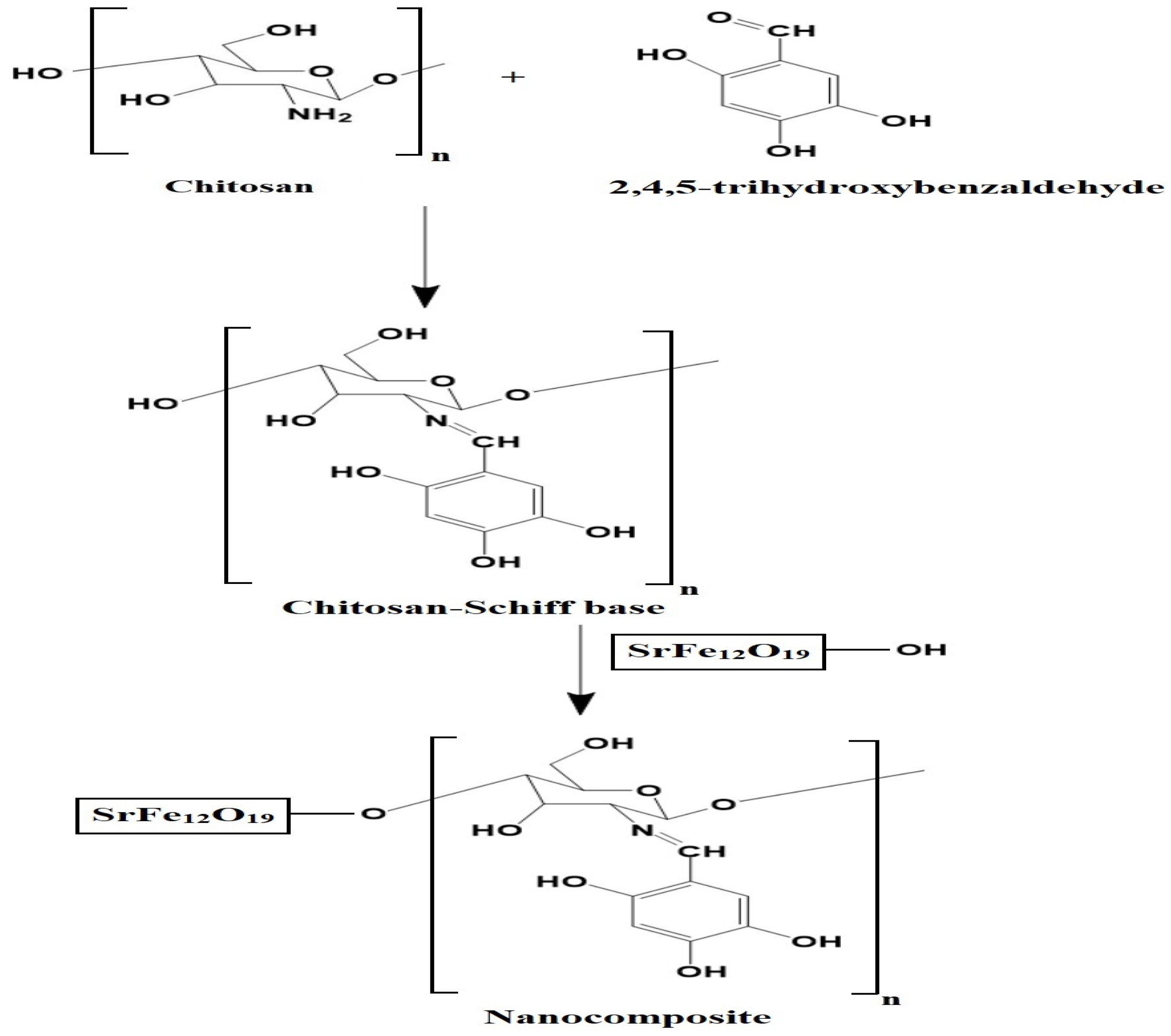 Inorganics 12 00148 sch002