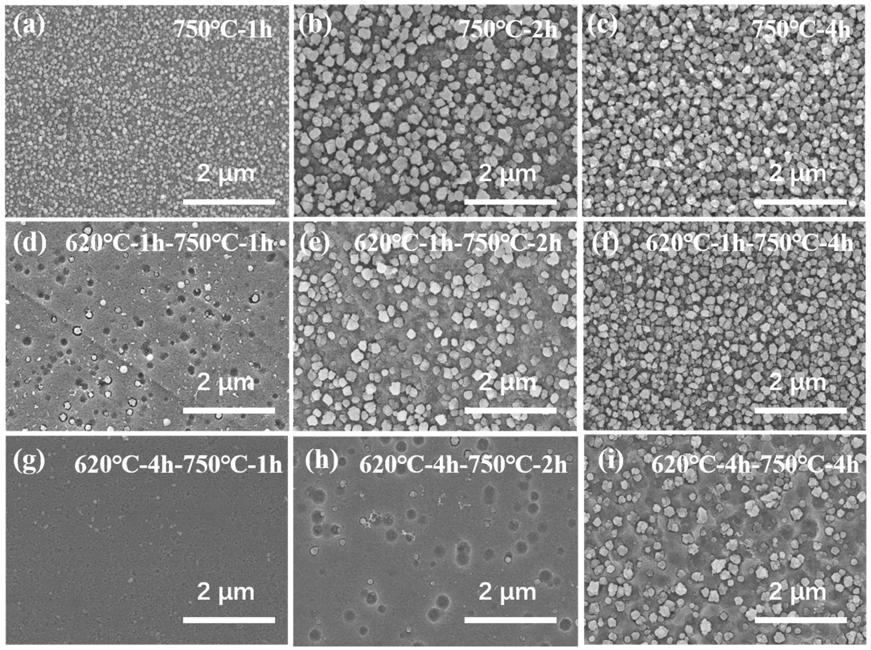 Inorganics 12 00149 g004