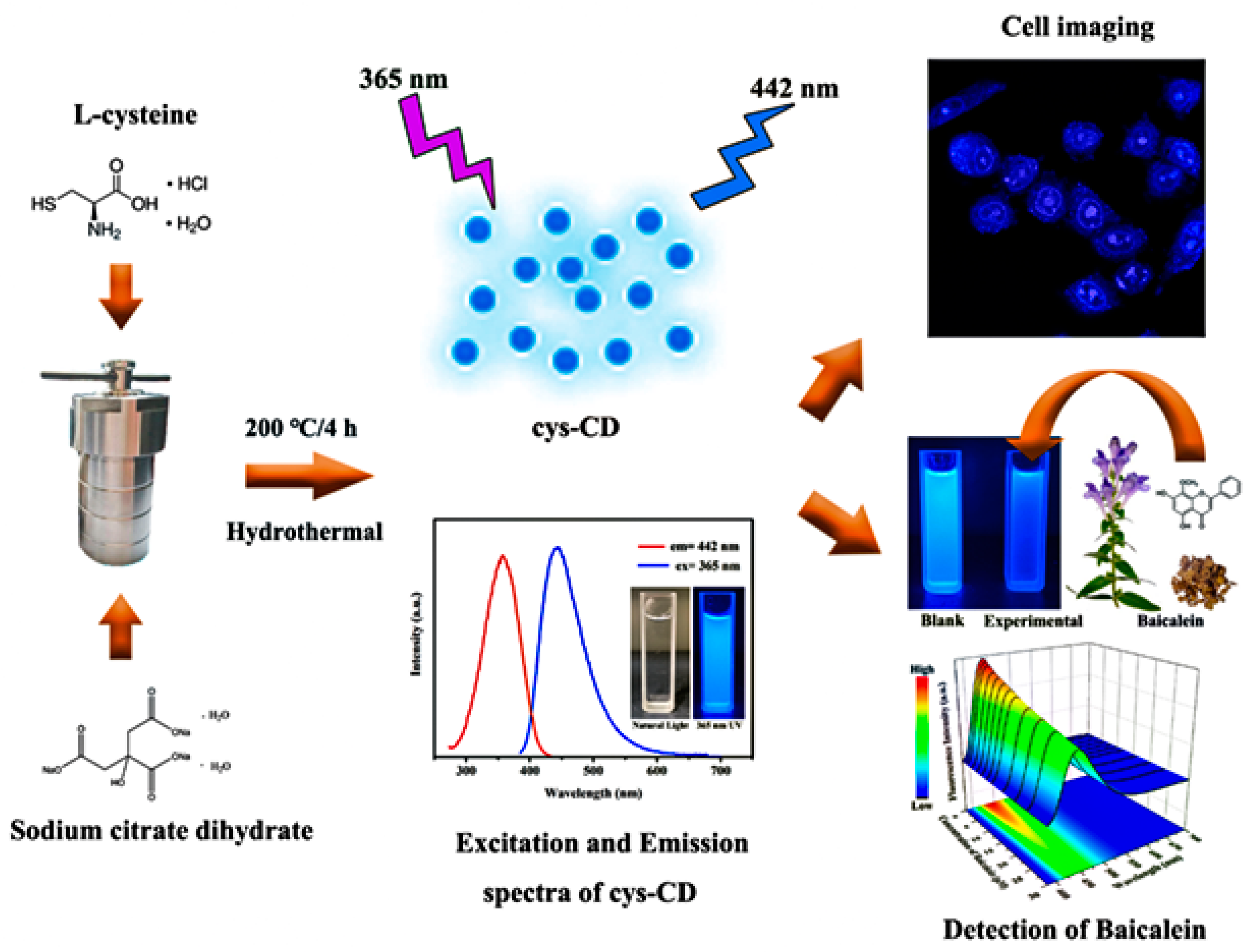 Inorganics 12 00154 g002