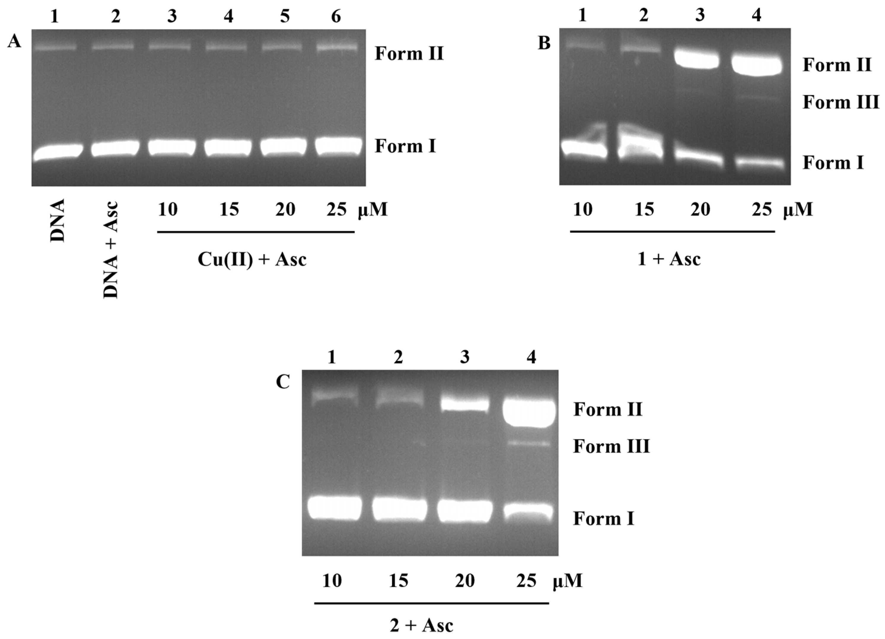 Inorganics 12 00158 g005