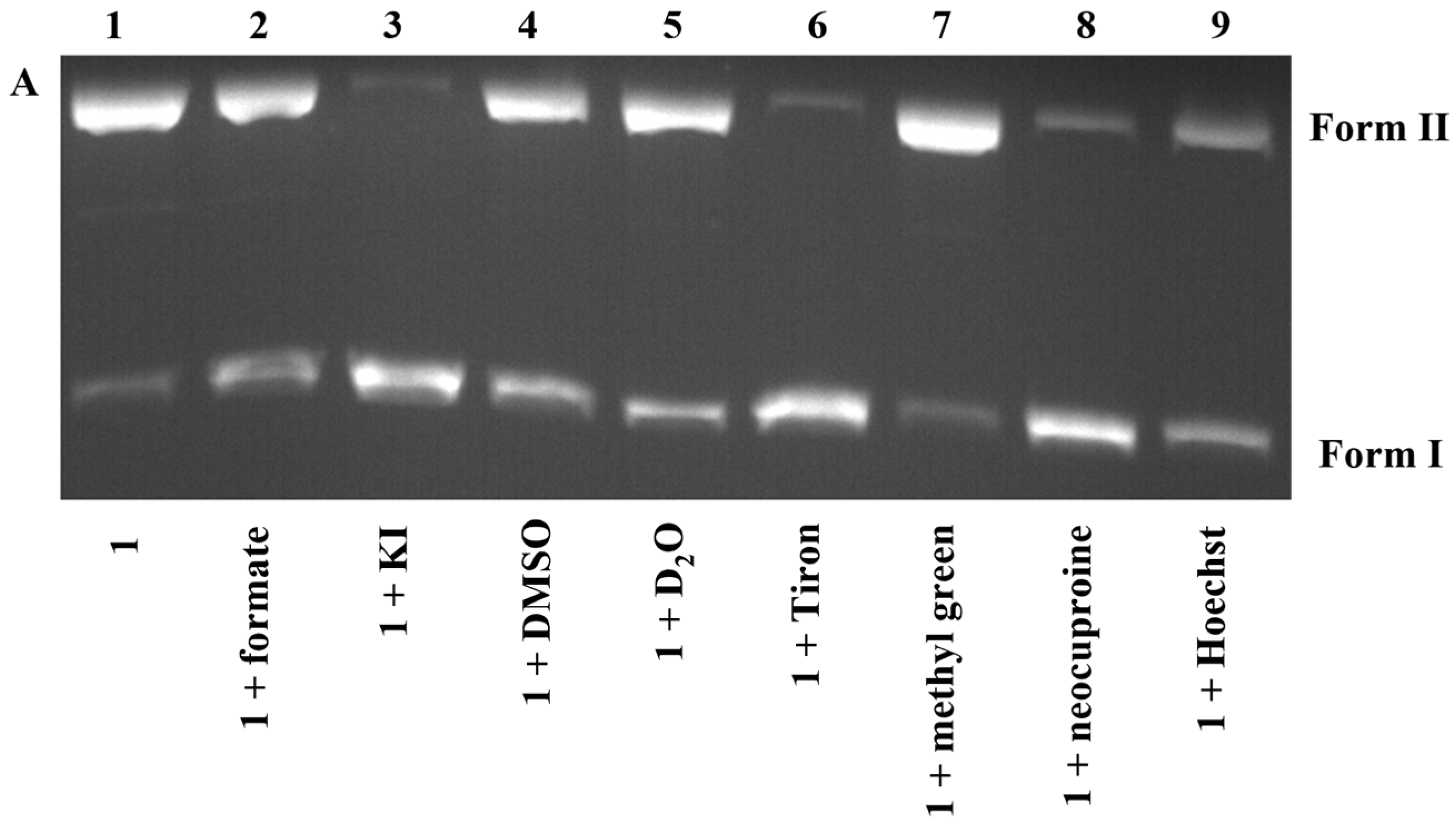Inorganics 12 00158 g006a