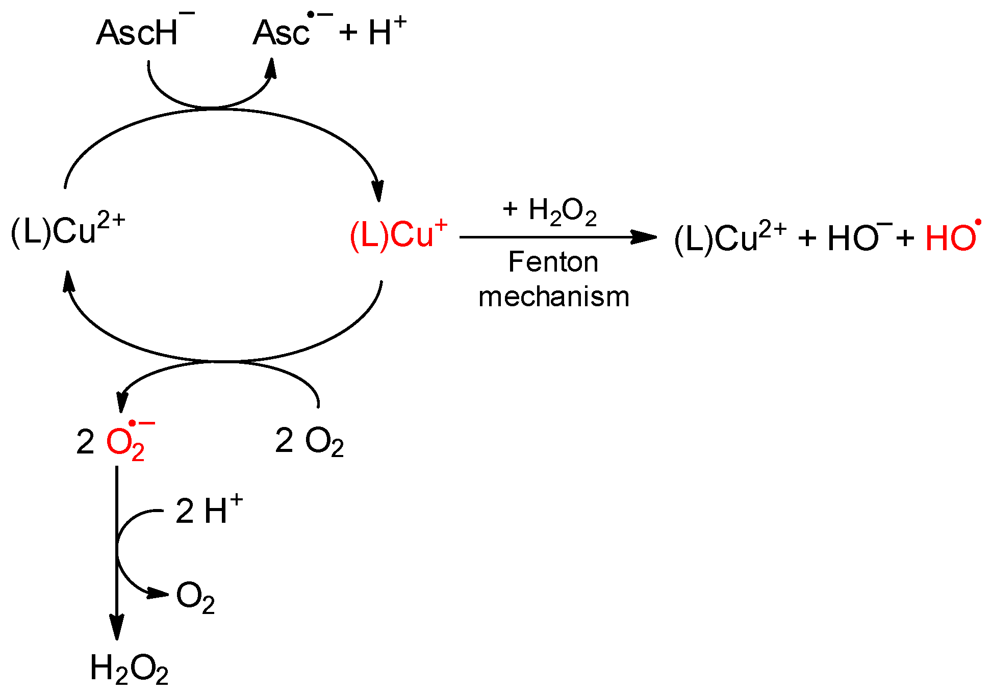 Inorganics 12 00158 g007