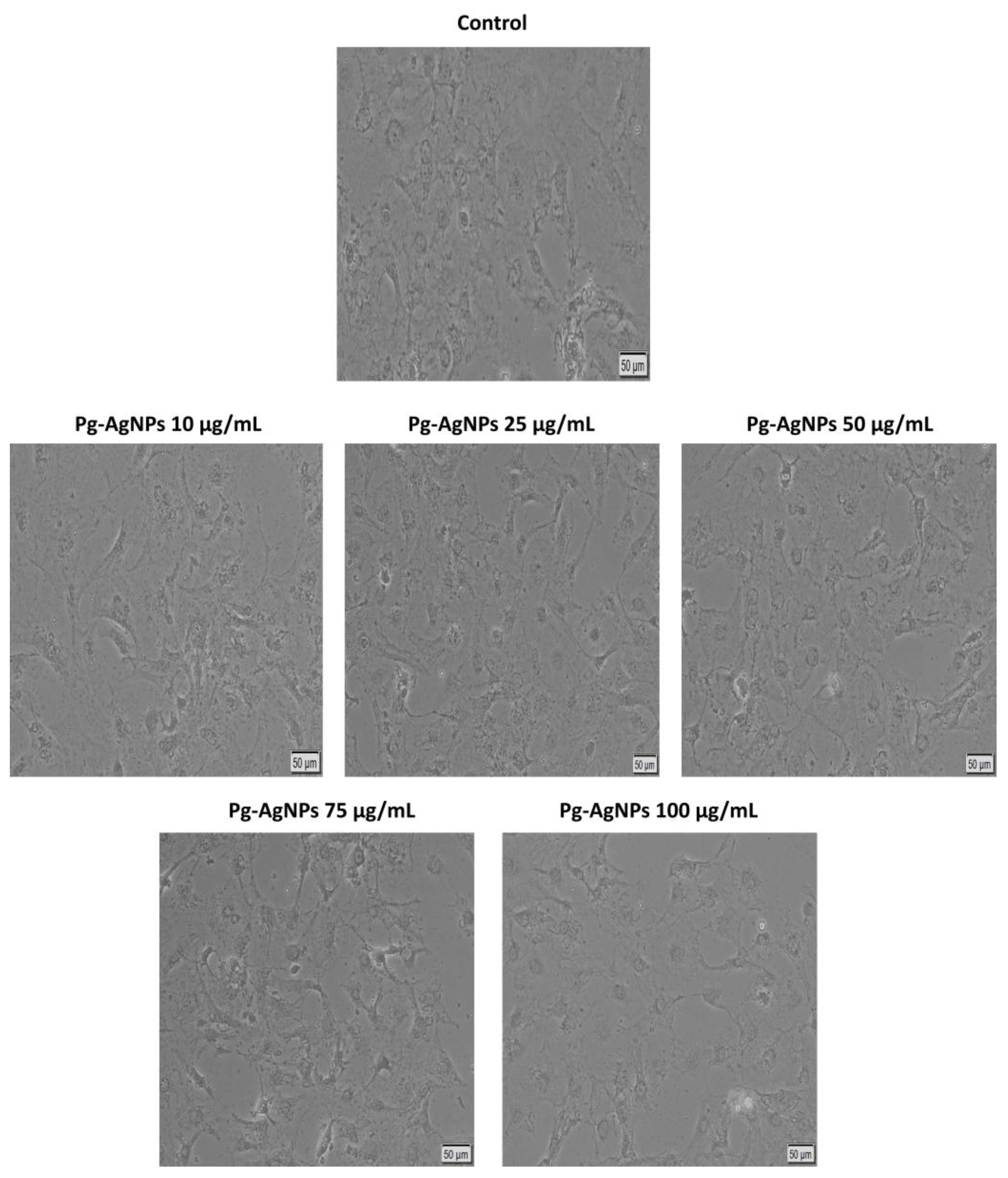 Inorganics 12 00160 g007 Inorganics 12 00160 g007