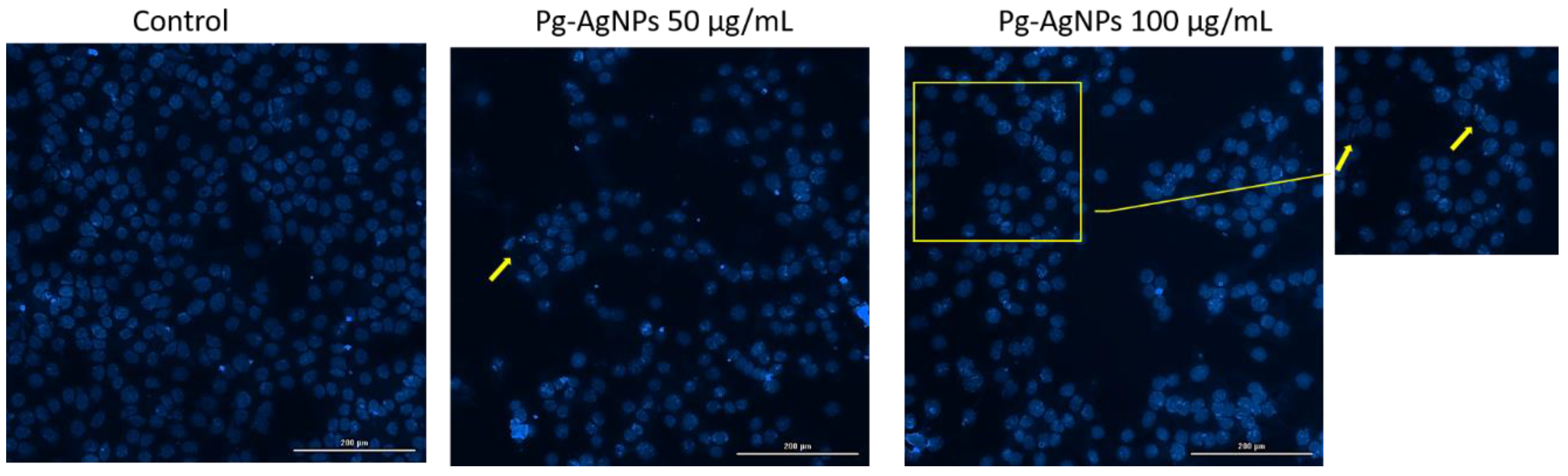 Inorganics 12 00160 g010 Inorganics 12 00160 g010