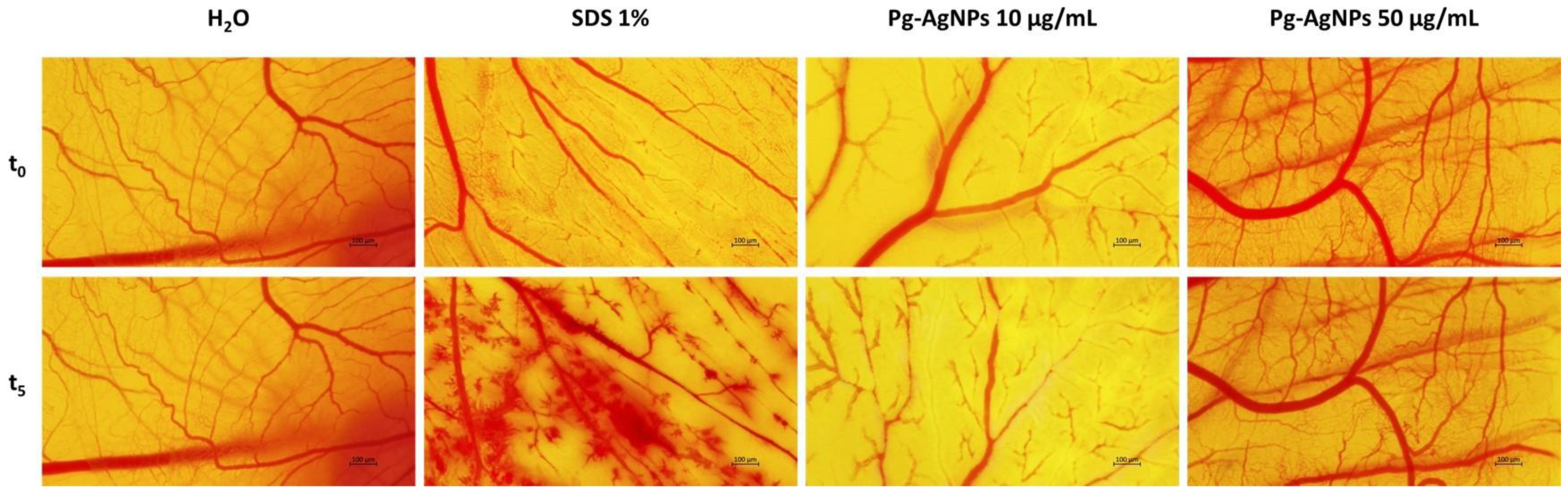 Inorganics 12 00160 g011 Inorganics 12 00160 g011