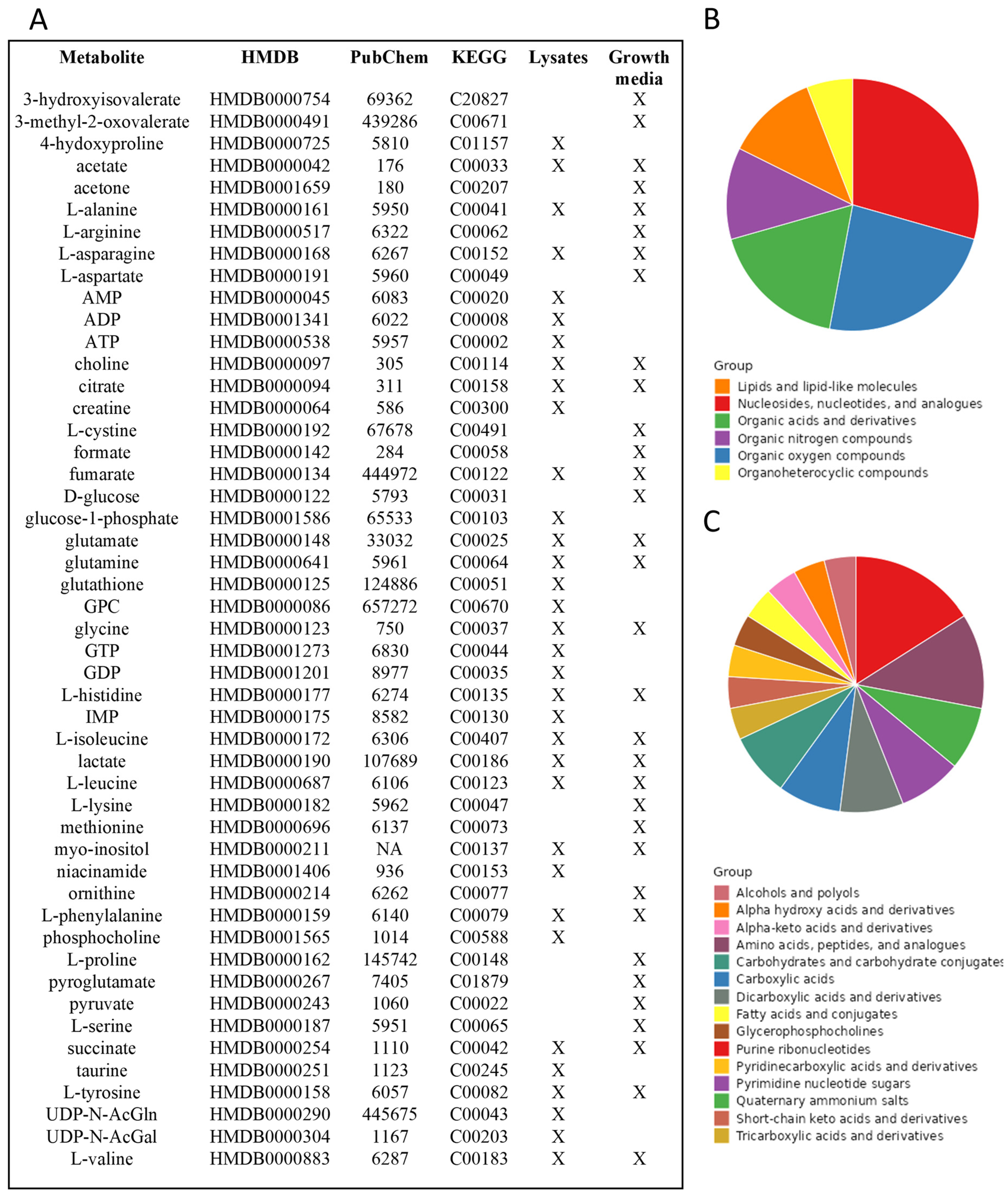 Inorganics 12 00168 g004
