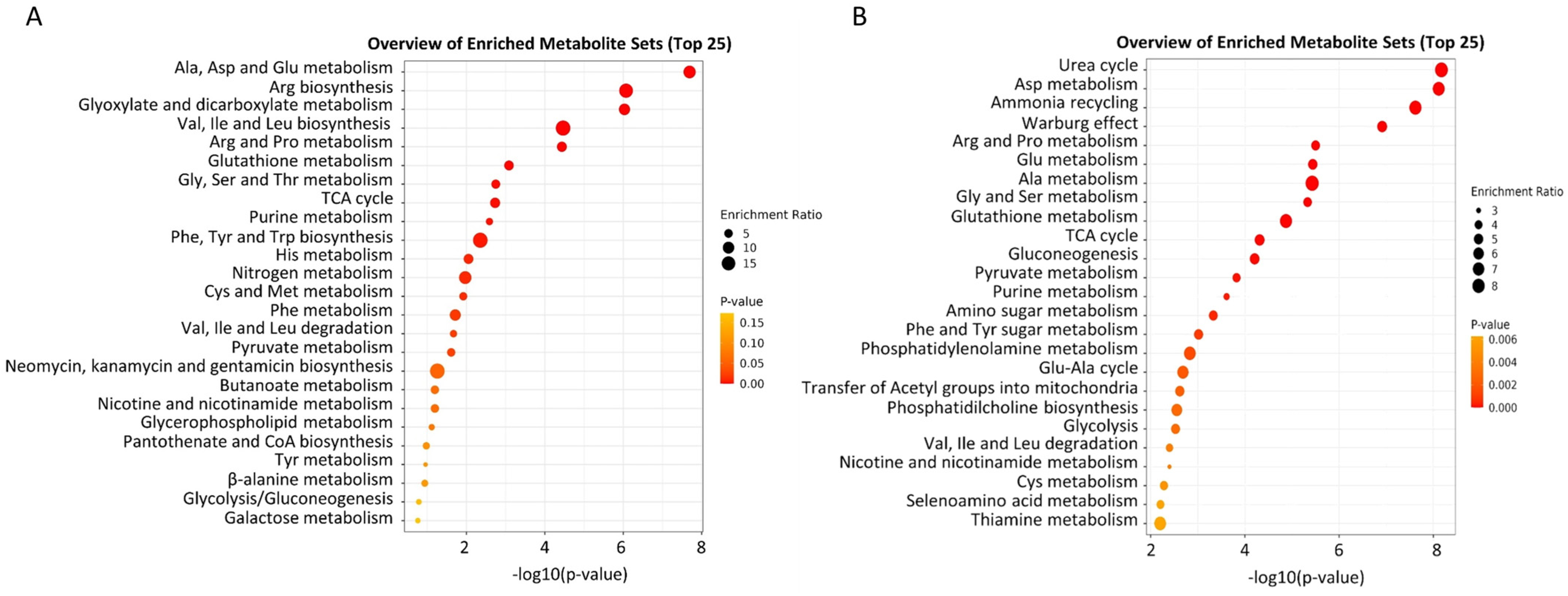 Inorganics 12 00168 g005