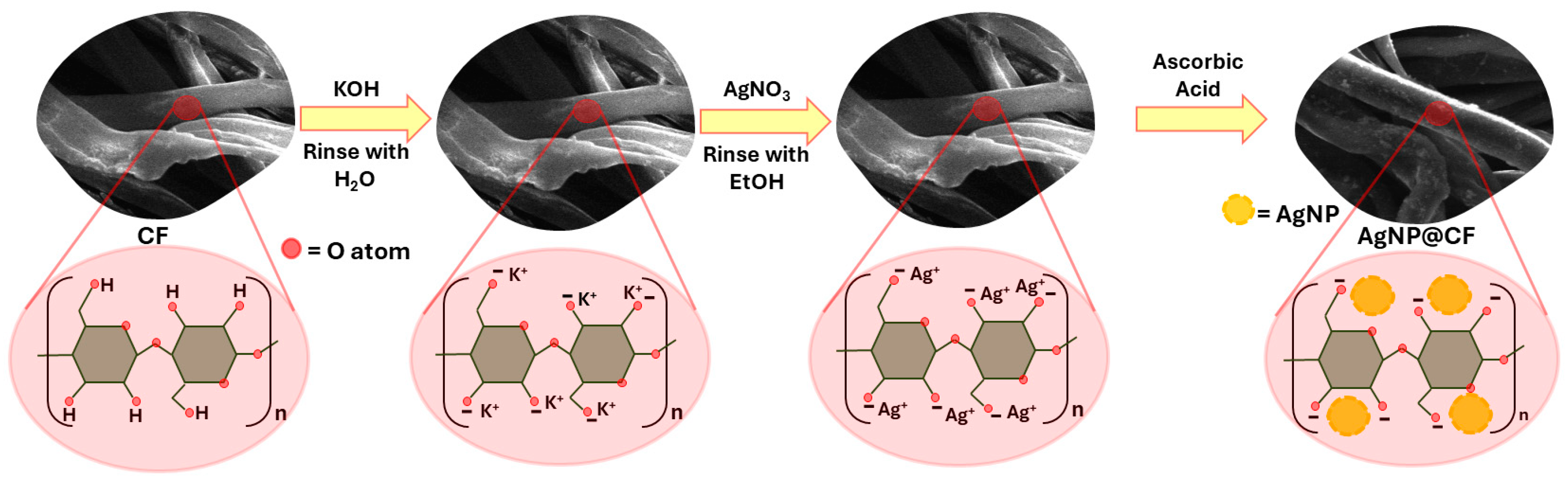 Inorganics 12 00170 sch001