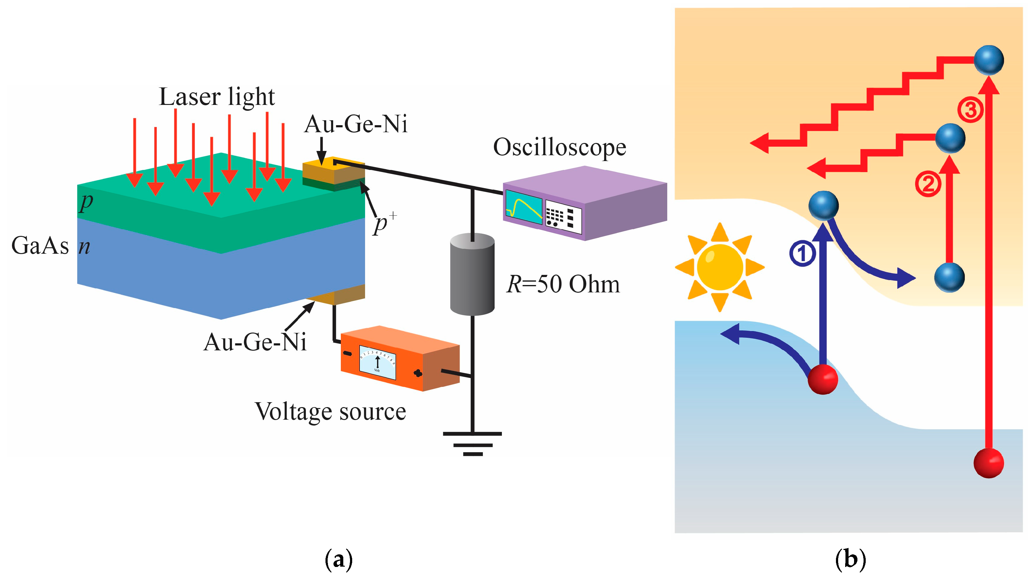Inorganics 12 00174 g001