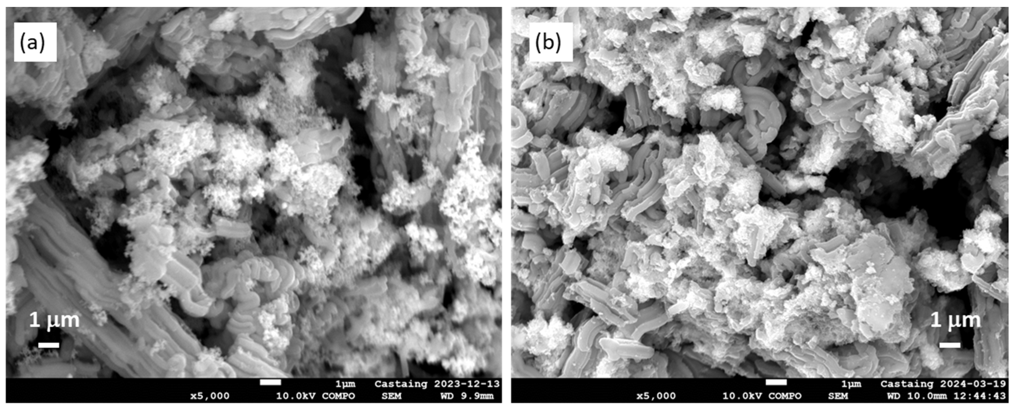 Inorganics 12 00183 g005