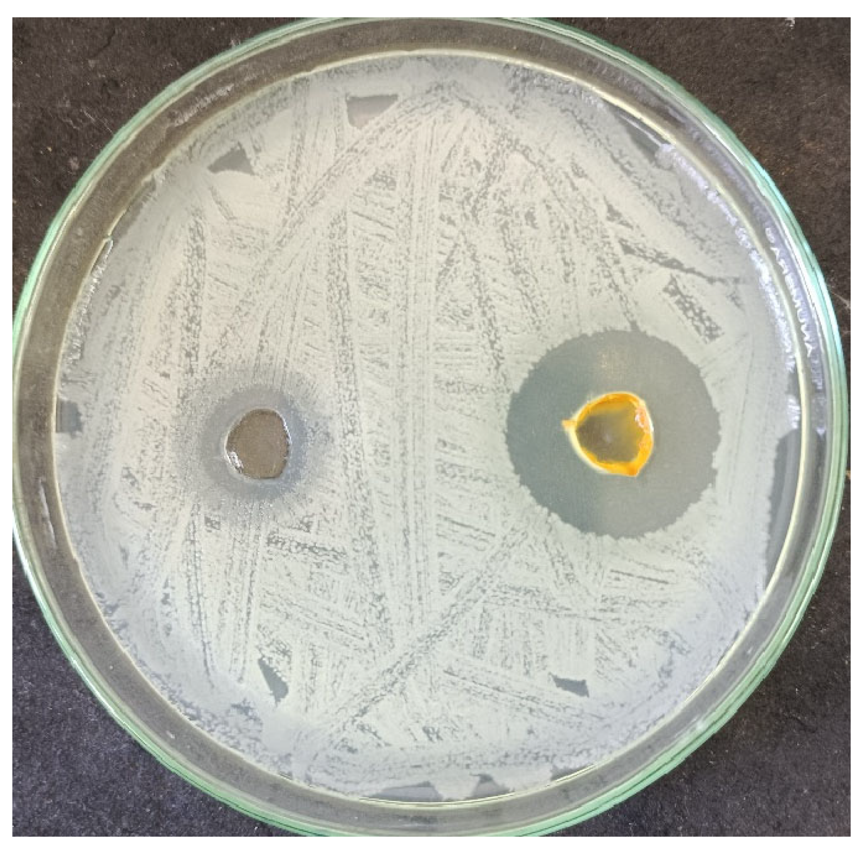 Inorganics 12 00189 g011