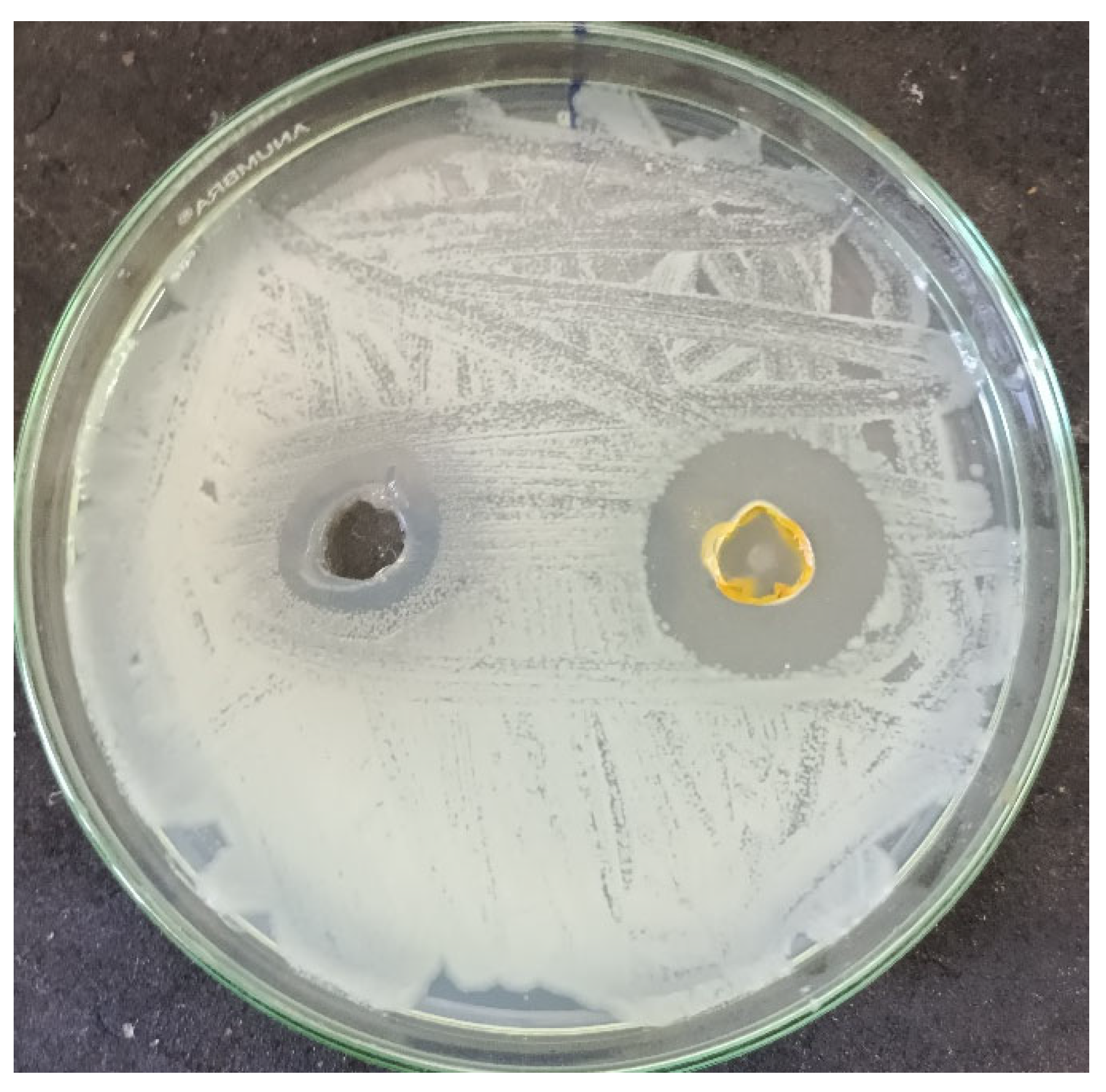 Inorganics 12 00189 g012