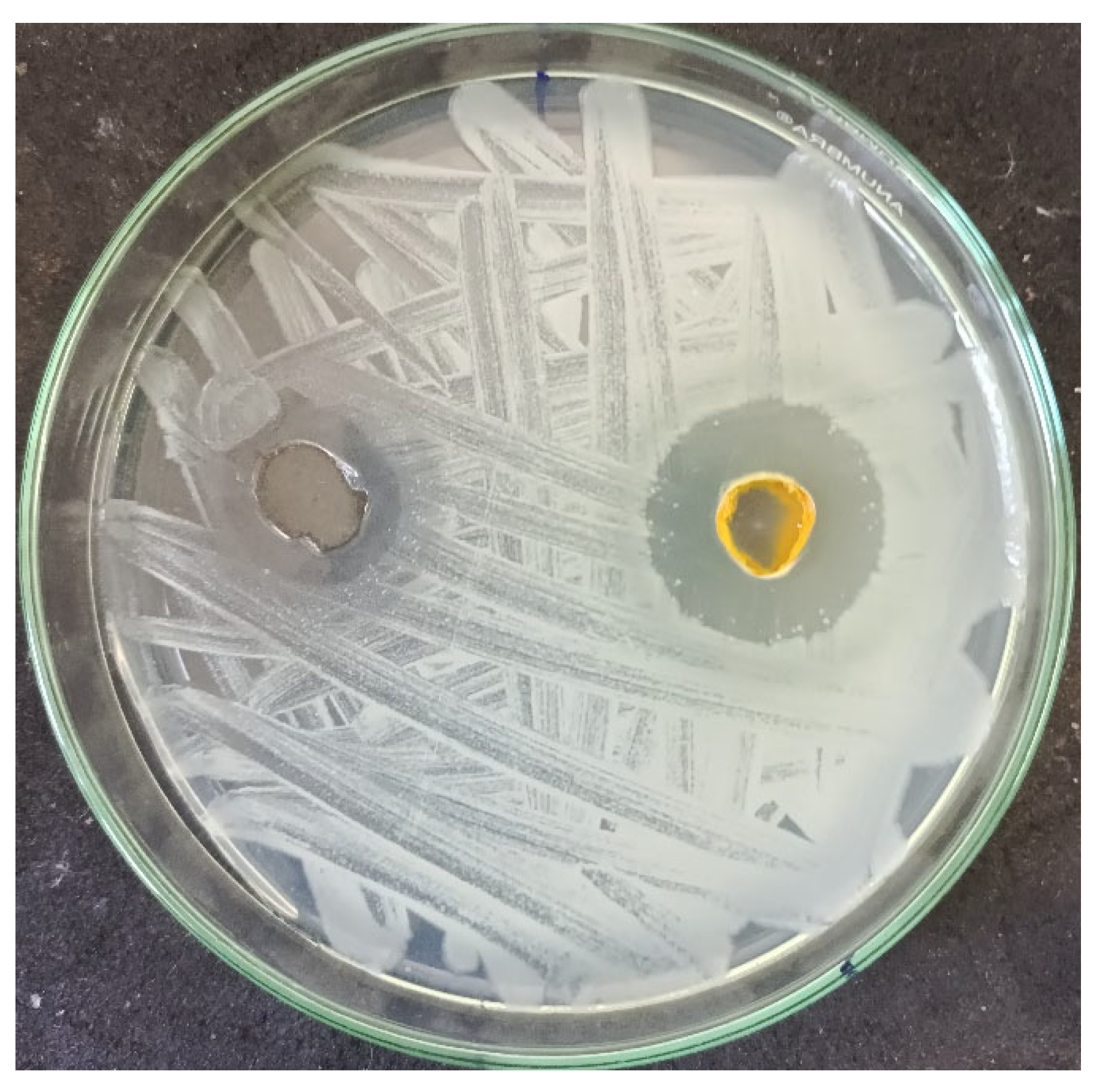 Inorganics 12 00189 g013