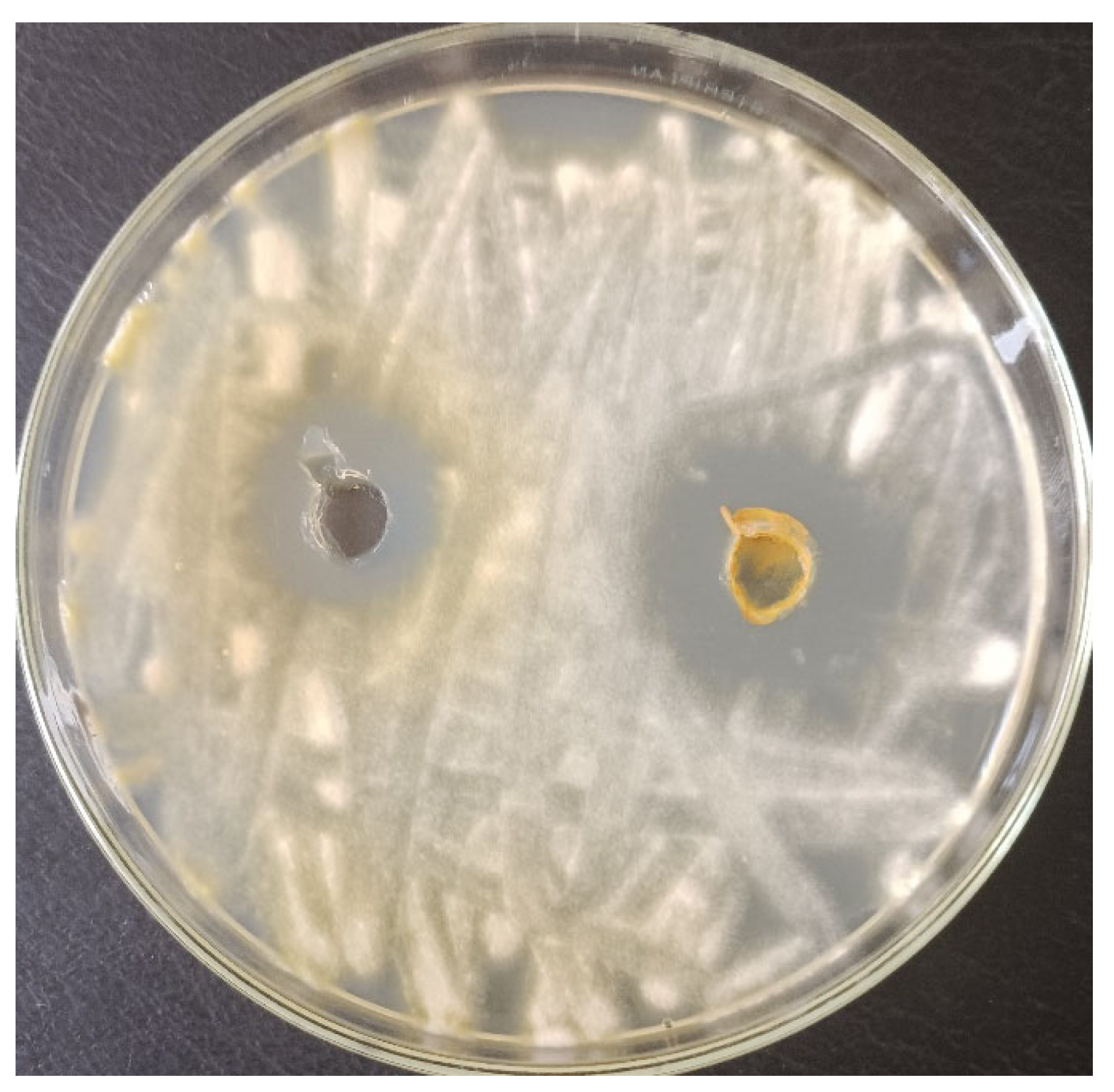 Inorganics 12 00189 g014