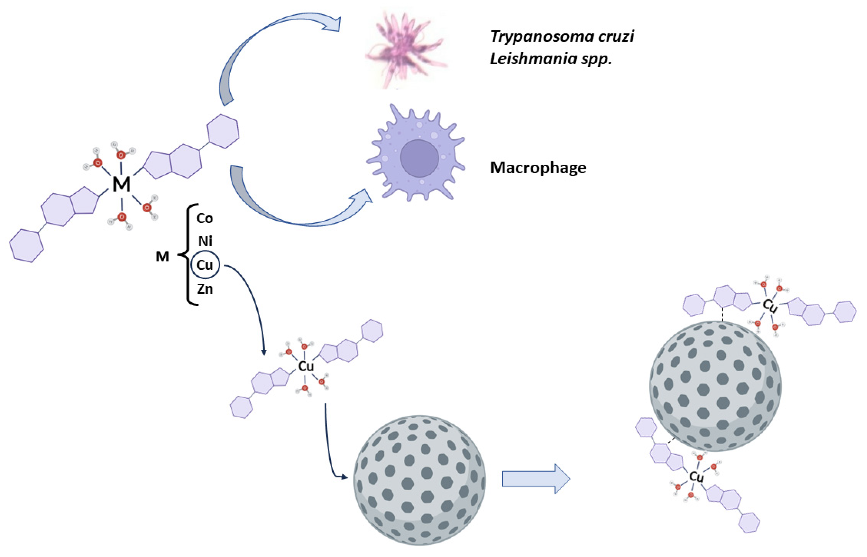 Inorganics 12 00190 g006
