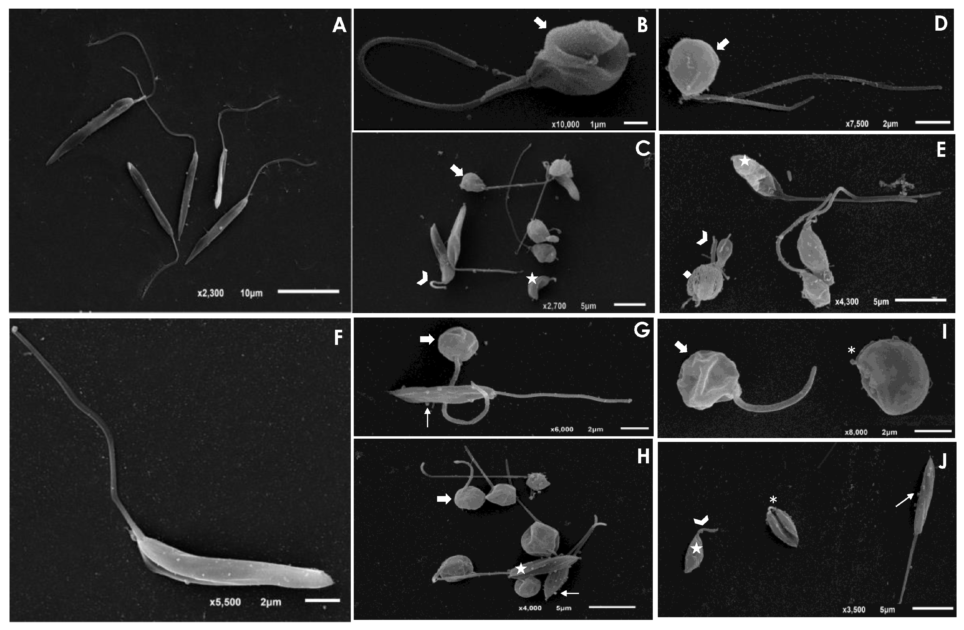 Inorganics 12 00190 g007