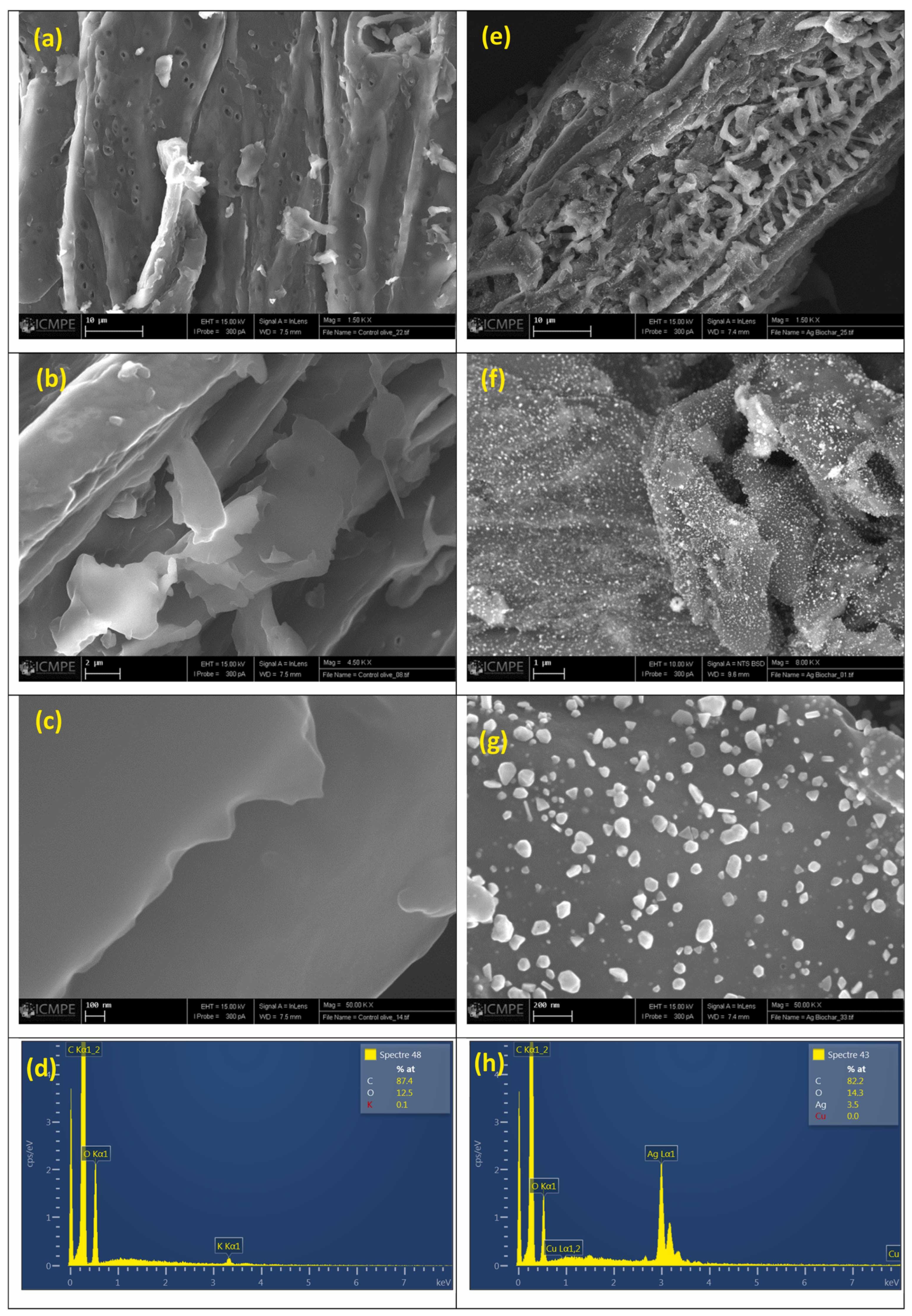 Inorganics 12 00190 g008