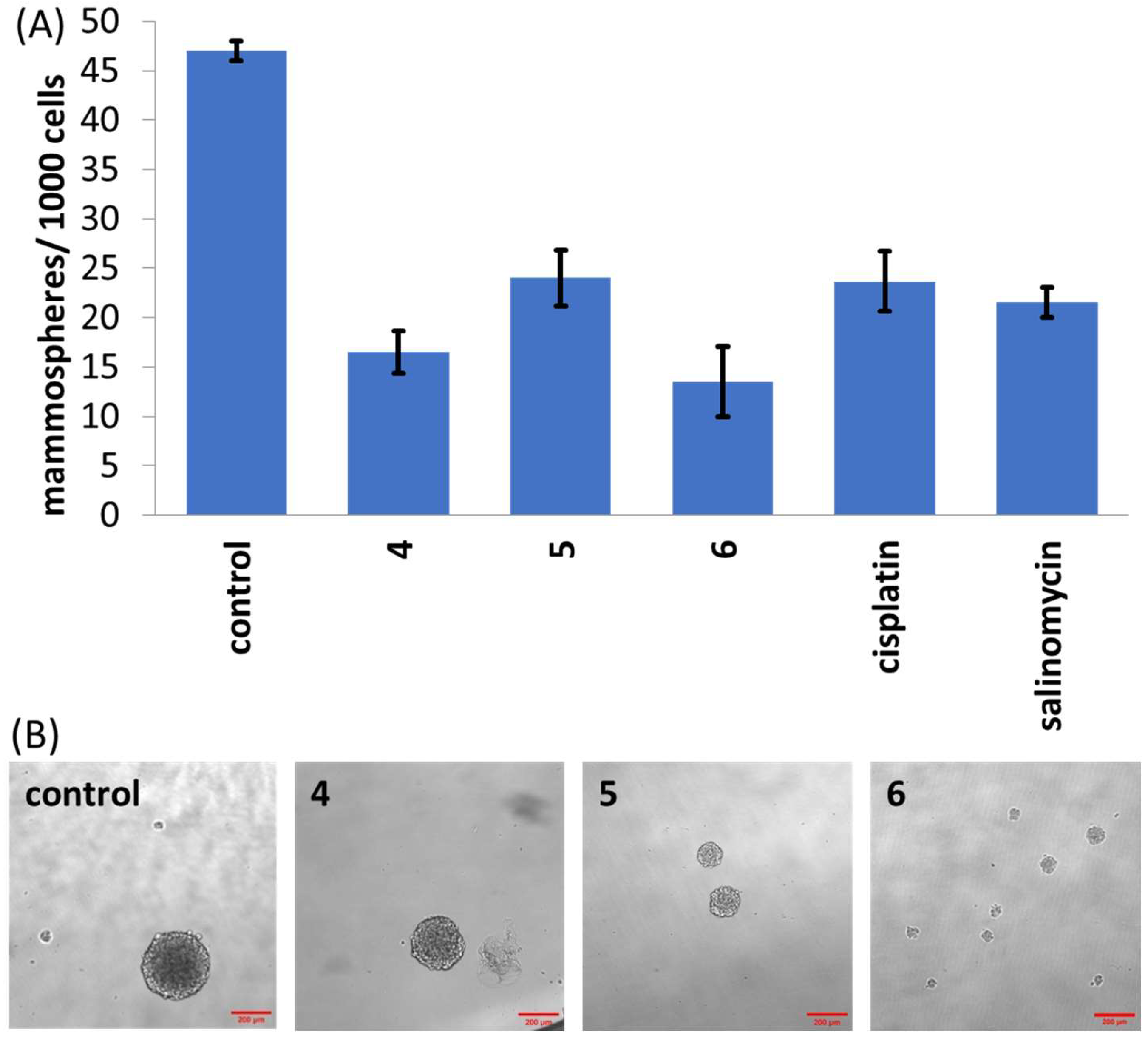 Inorganics 12 00202 g002