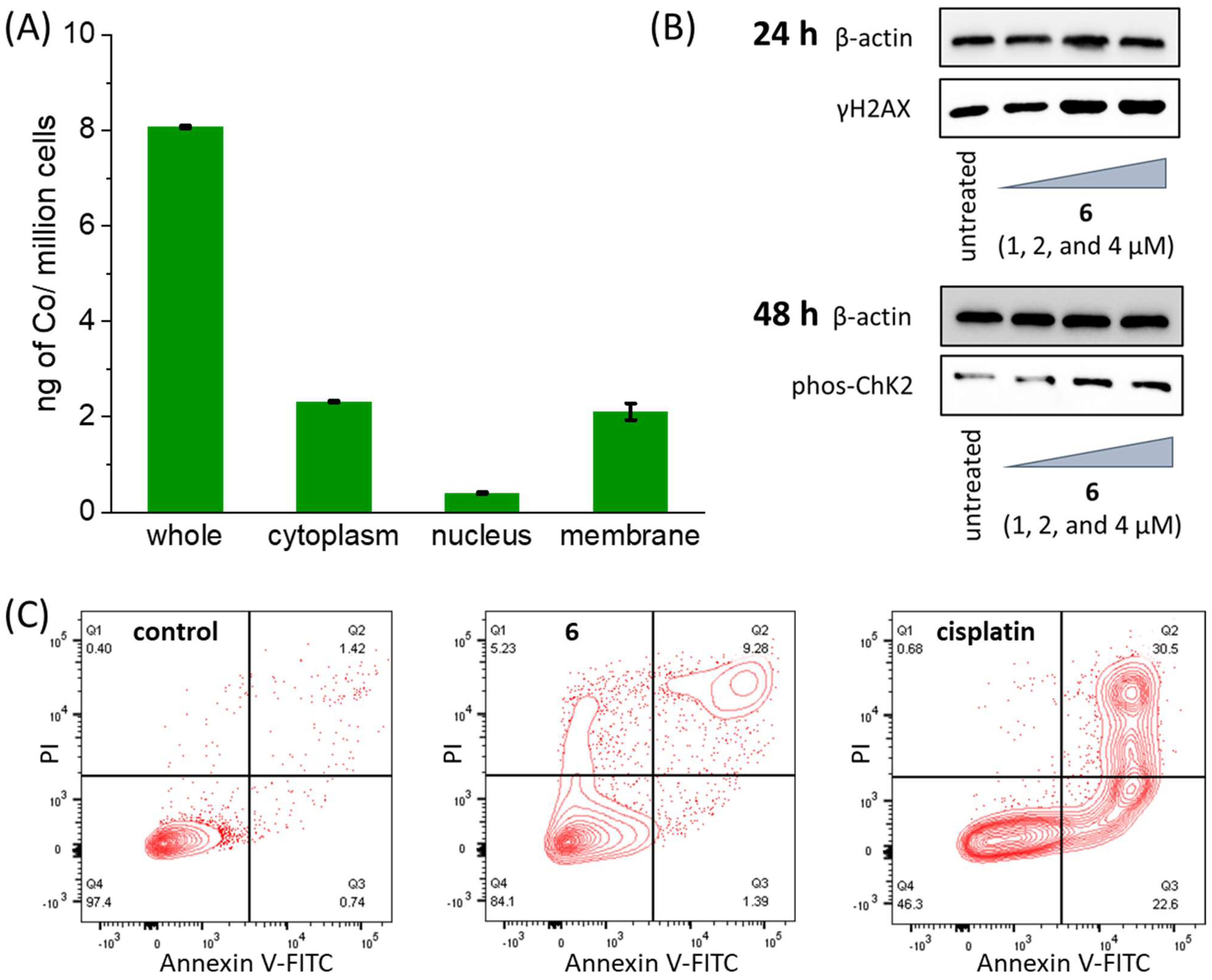 Inorganics 12 00202 g003