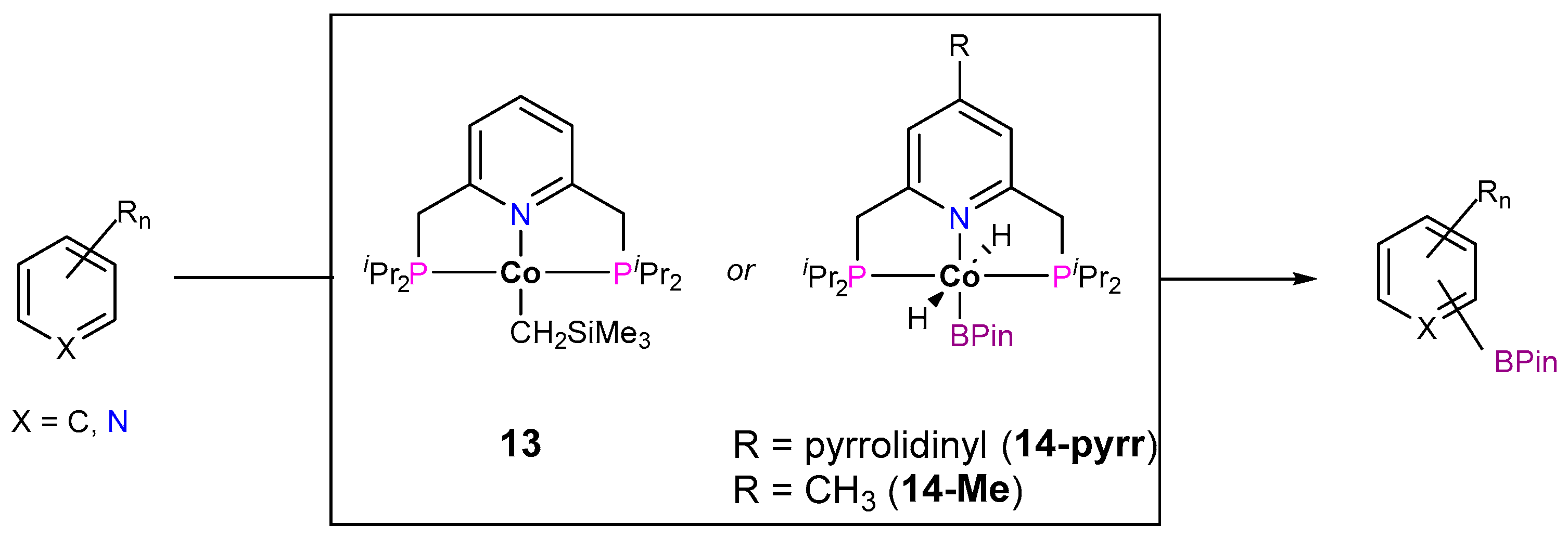 Inorganics 12 00221 sch012