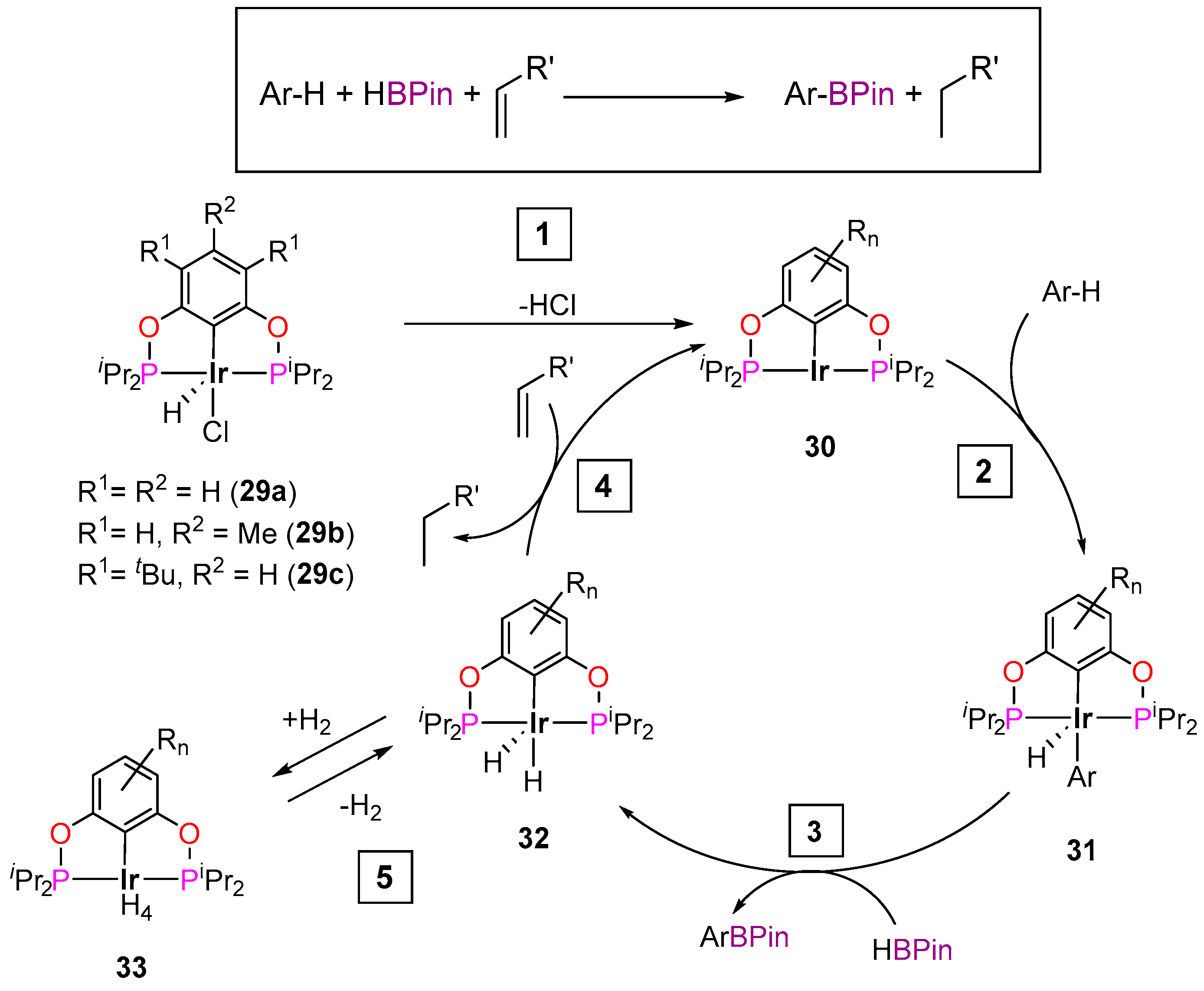 Inorganics 12 00221 sch024