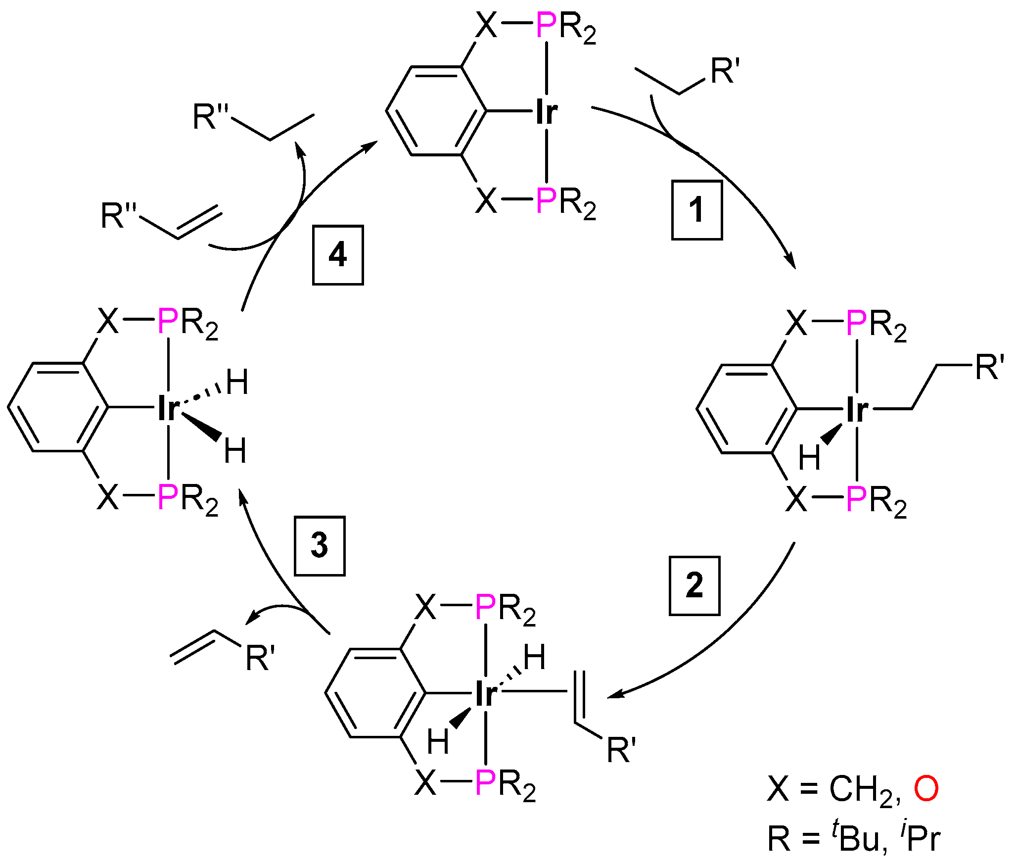 Inorganics 12 00221 sch030