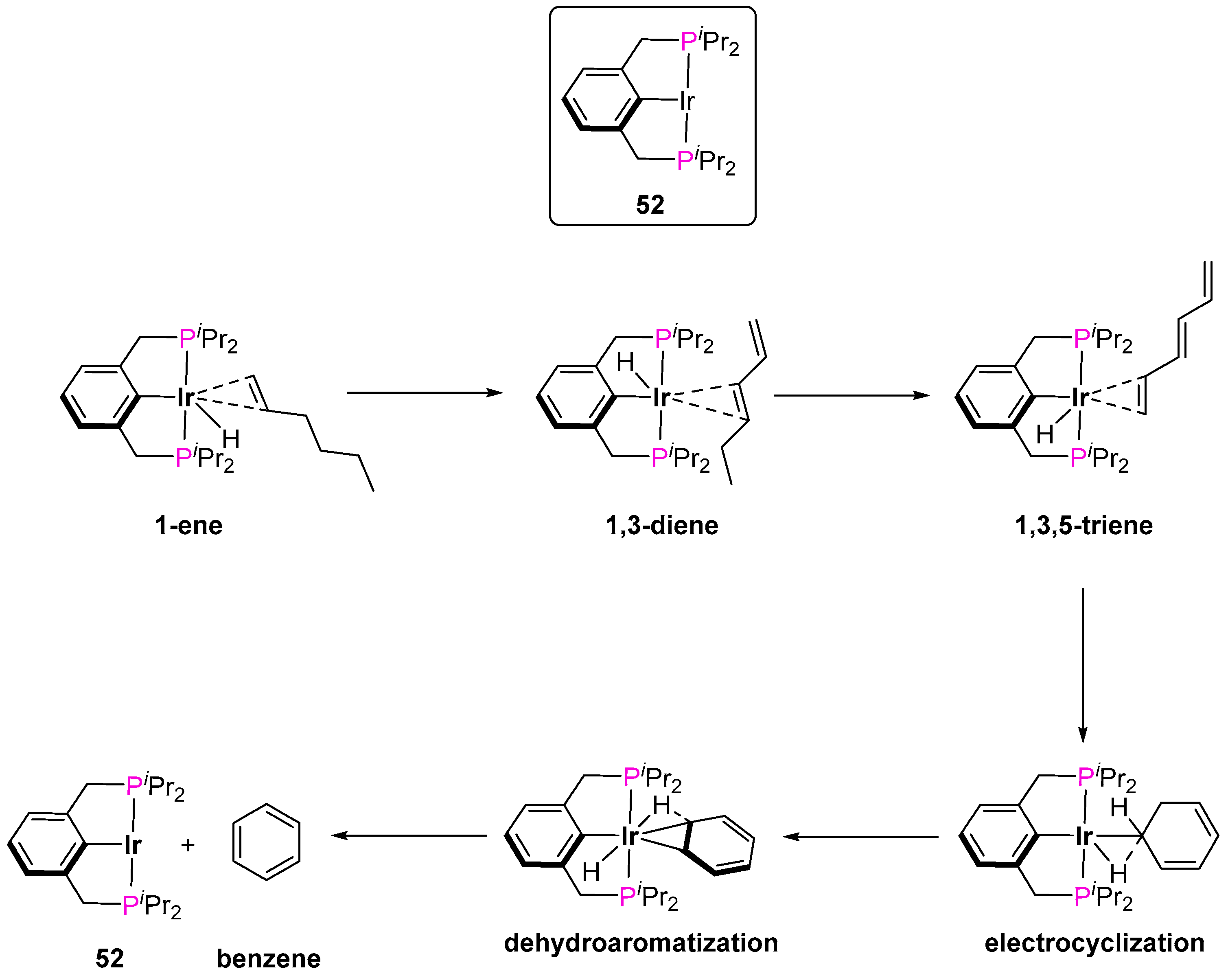 Inorganics 12 00221 sch032