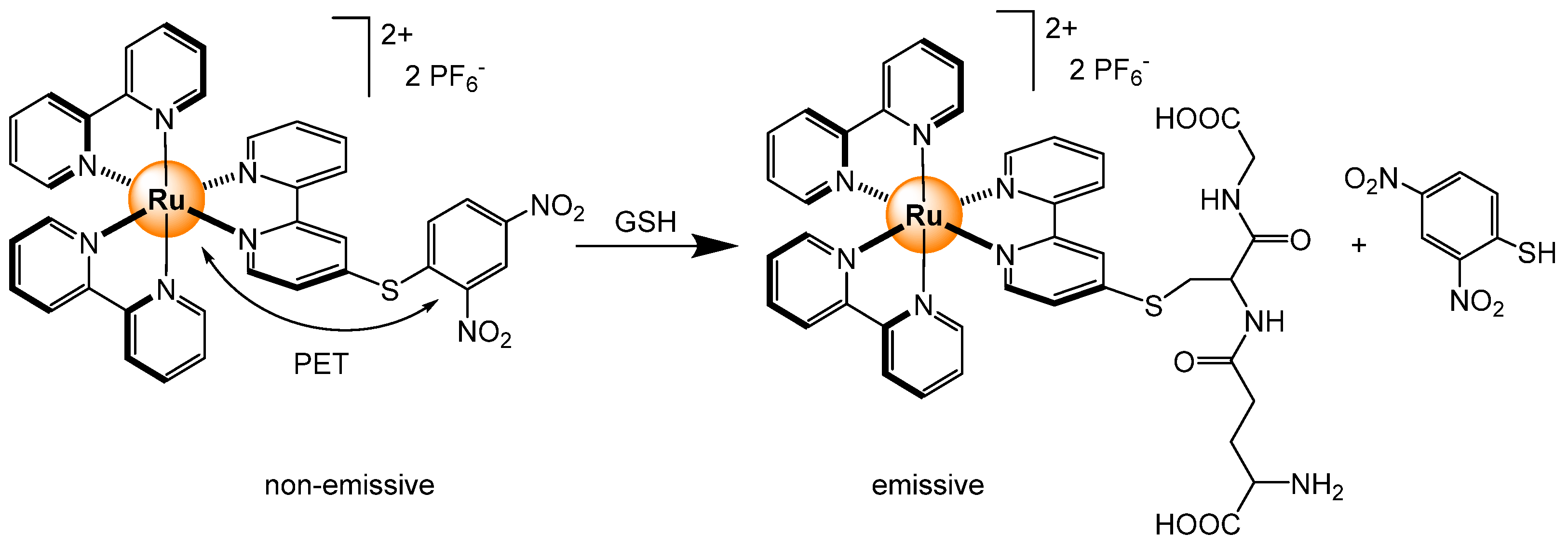 Inorganics 12 00239 sch008 Inorganics 12 00239 sch008