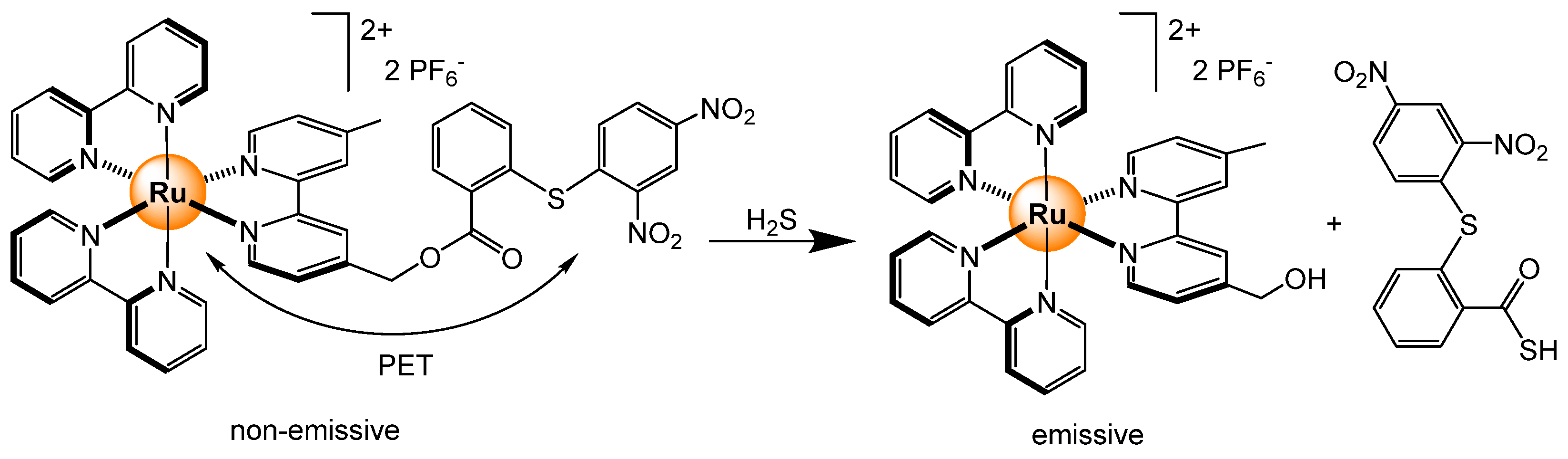 Inorganics 12 00239 sch011 Inorganics 12 00239 sch011