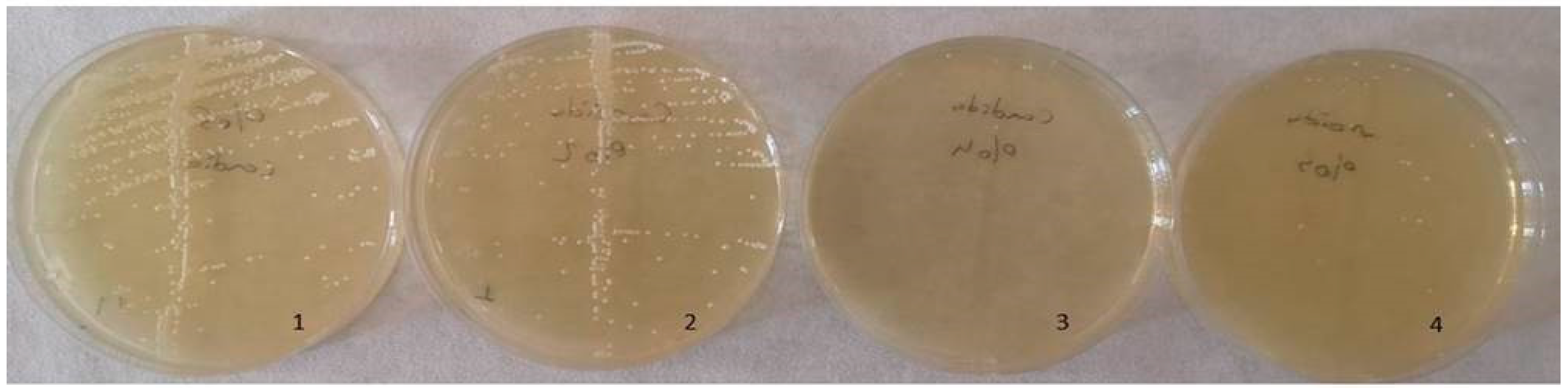 Inorganics 12 00258 g012 Inorganics 12 00258 g012