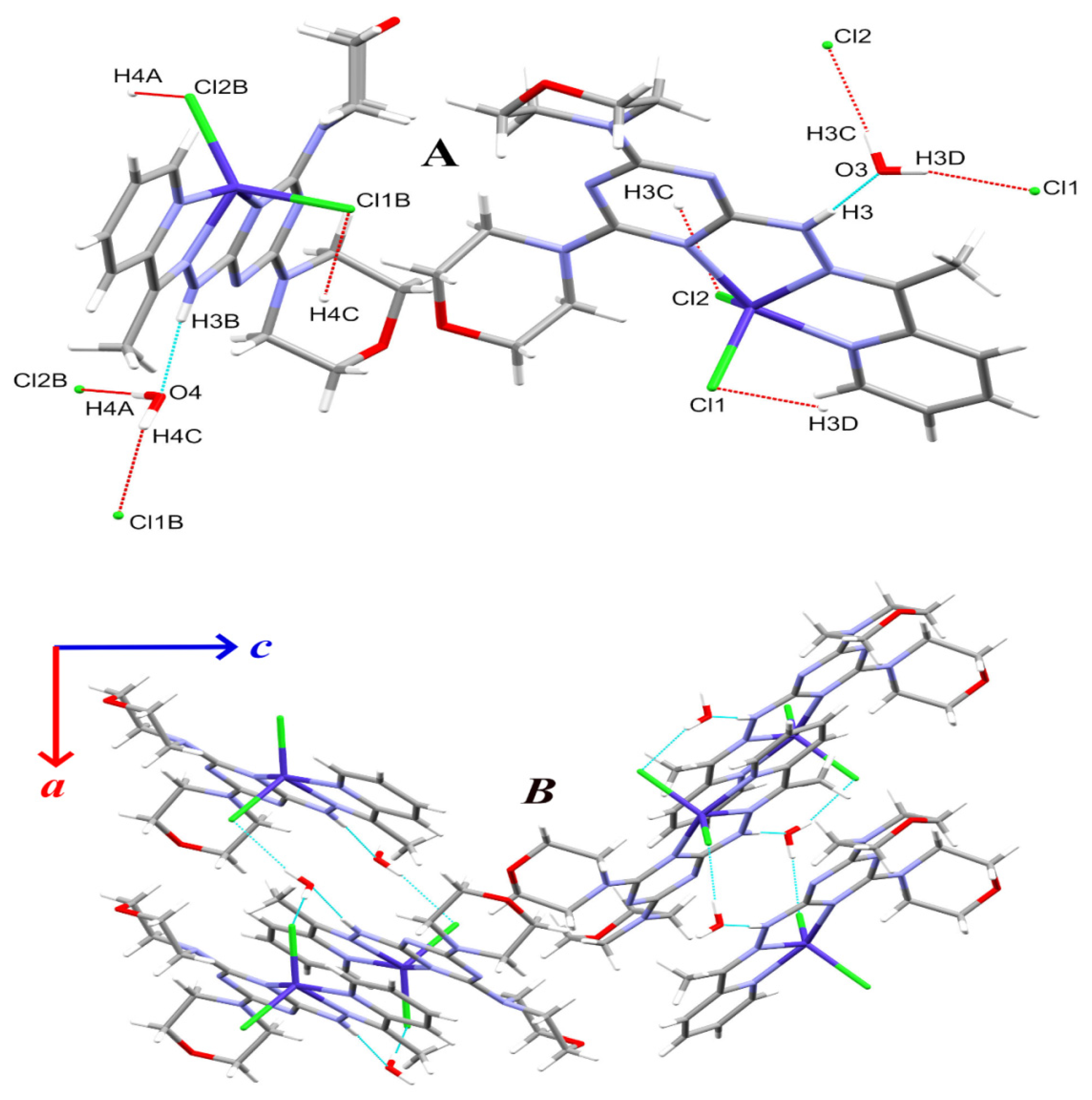 Structural and Biological Comparative Studies on M(II