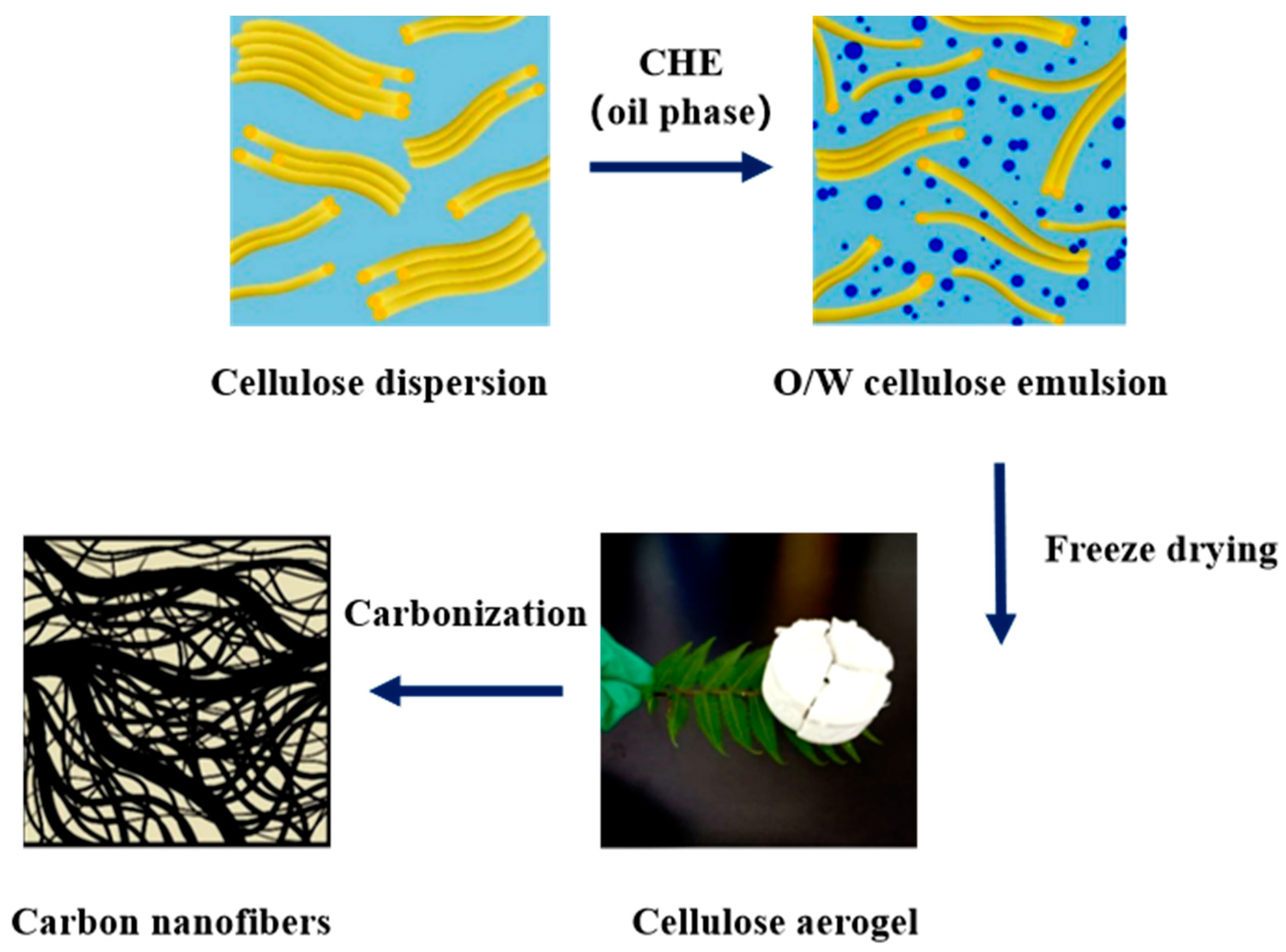 Inorganics 12 00272 g001