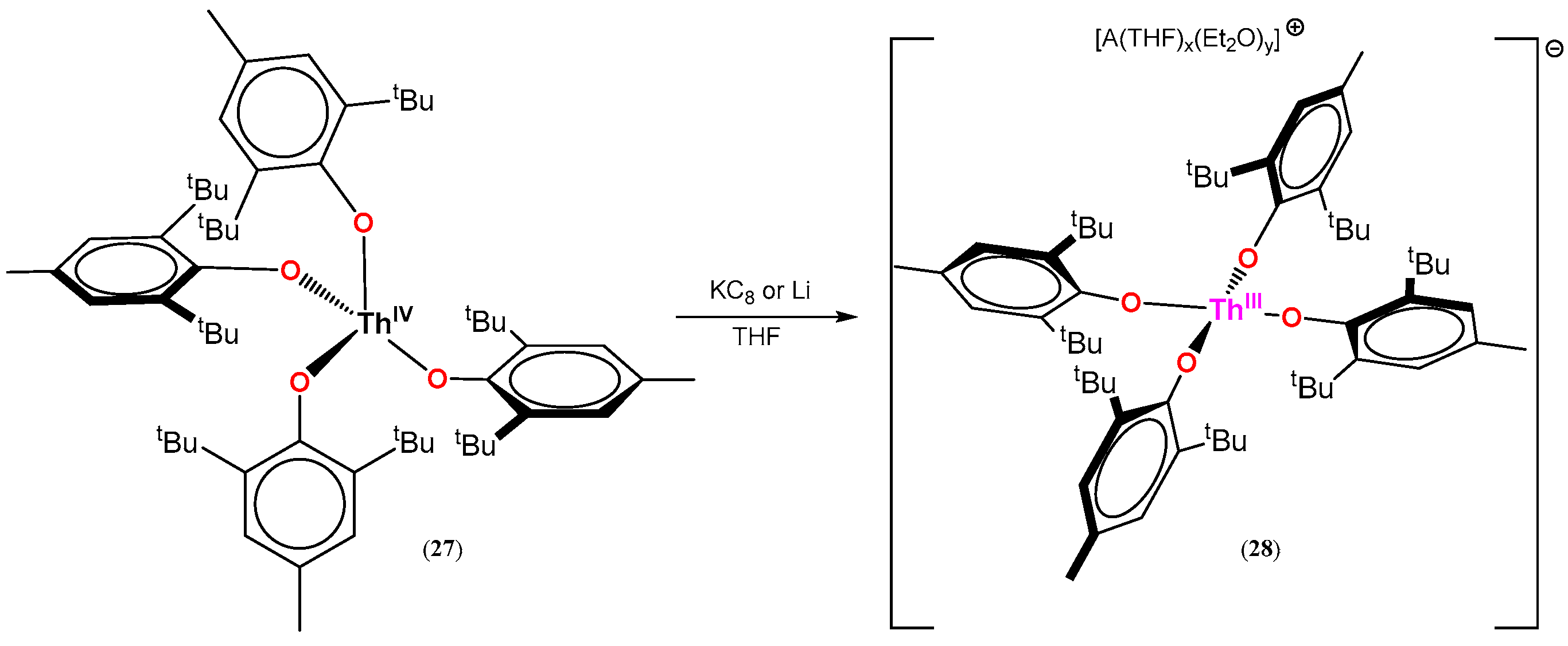 Inorganics 12 00275 sch008