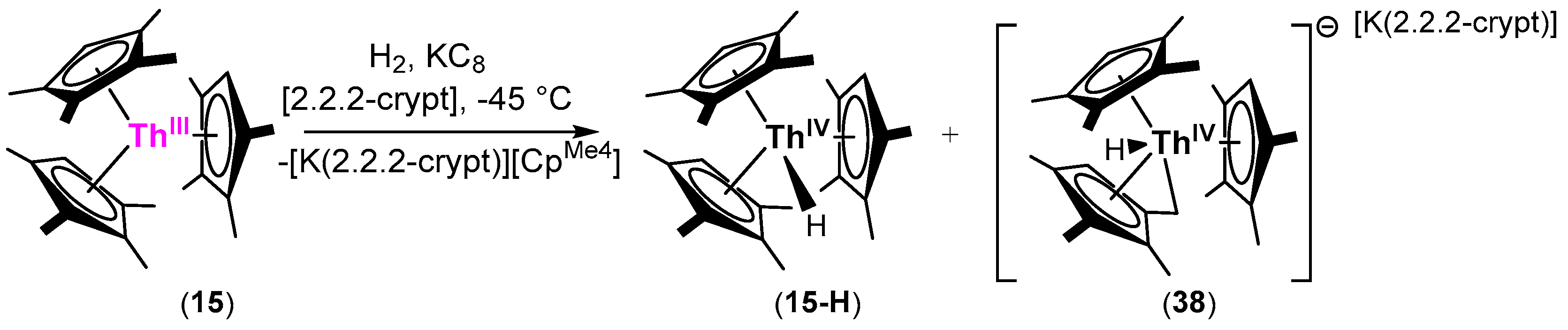 Inorganics 12 00275 sch012