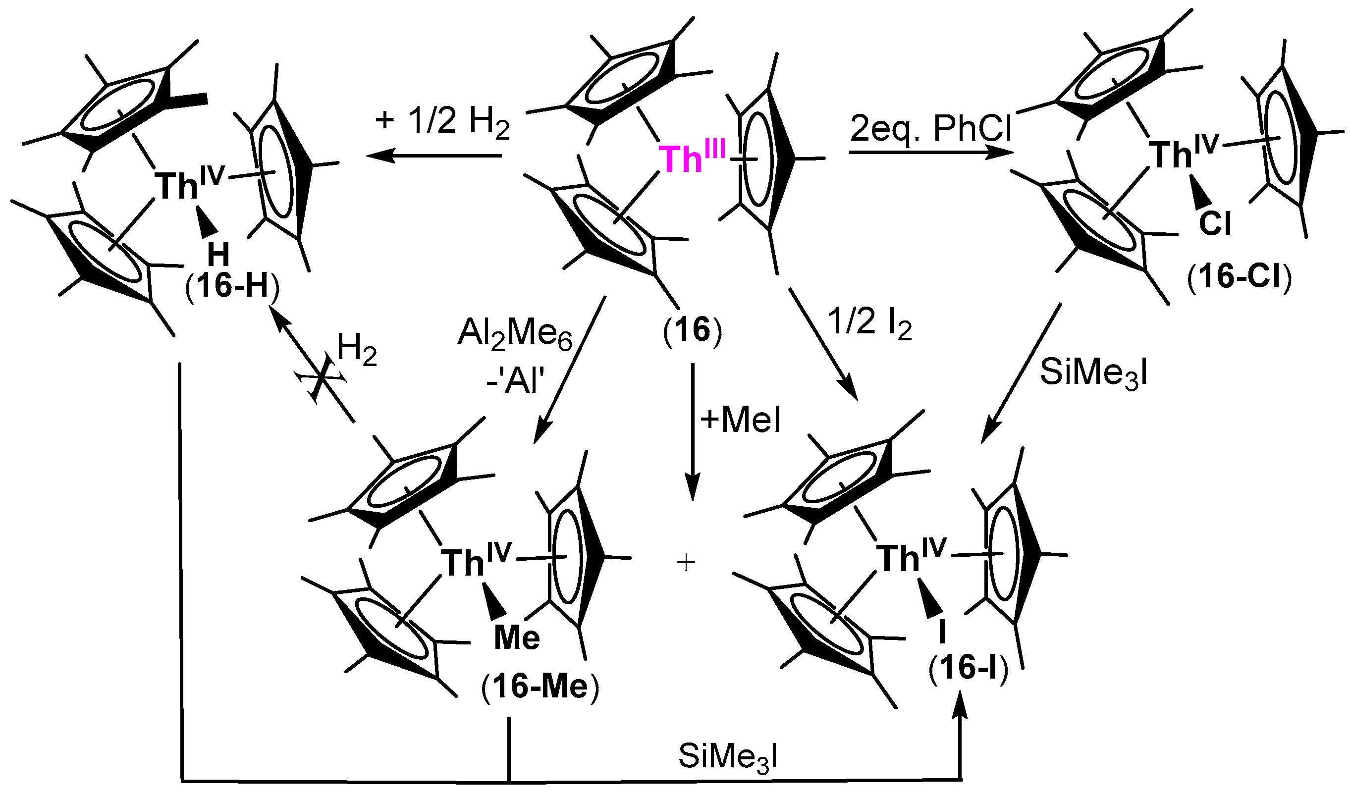 Inorganics 12 00275 sch013