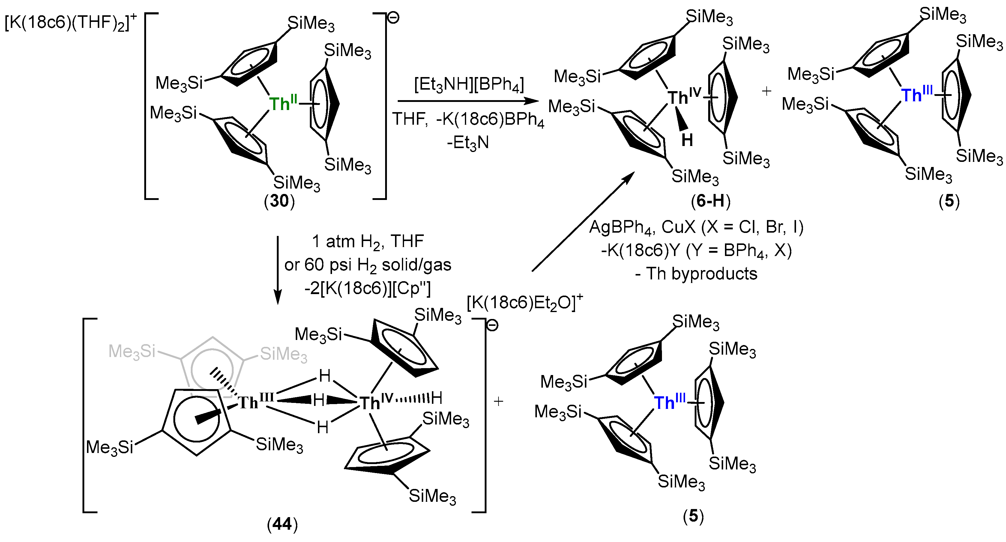 Inorganics 12 00275 sch014