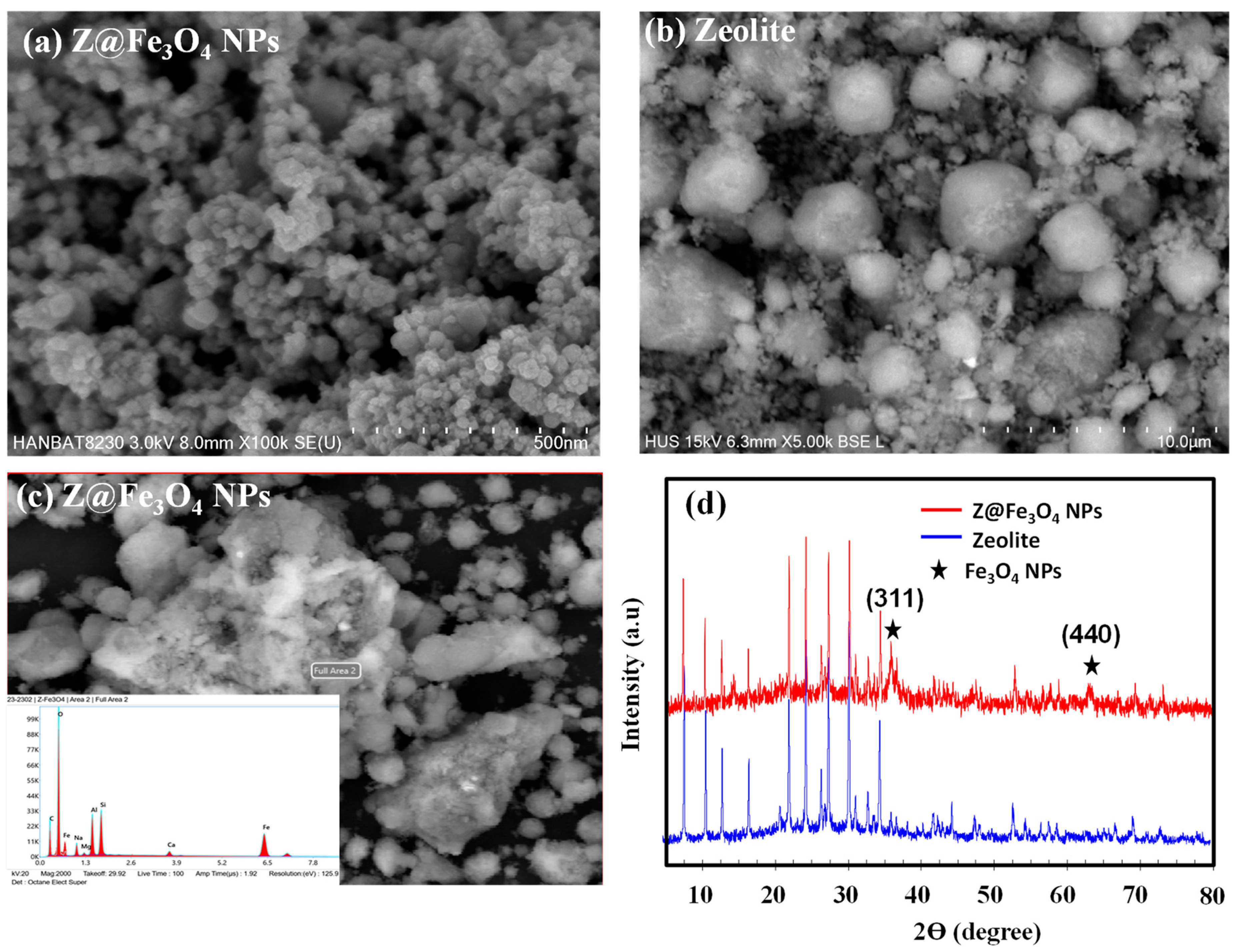 Inorganics 12 00276 g001