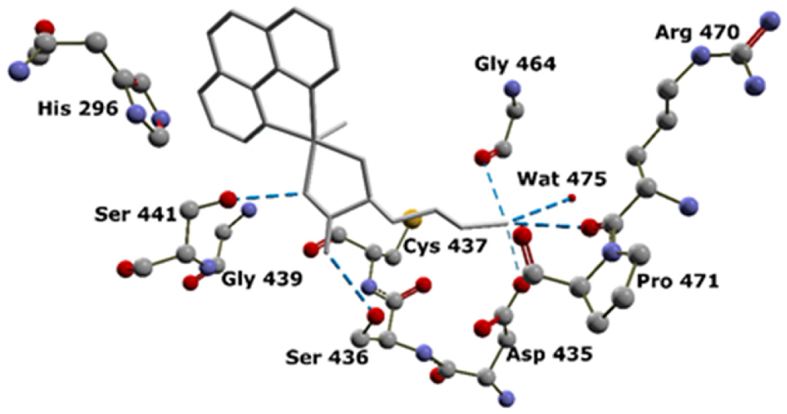 Inorganics 12 00282 g004