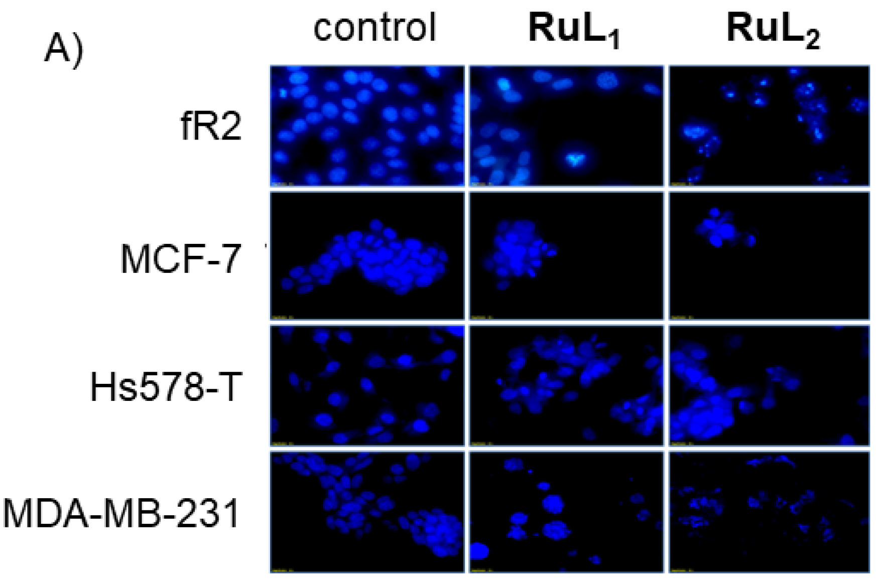 Inorganics 12 00287 g002a