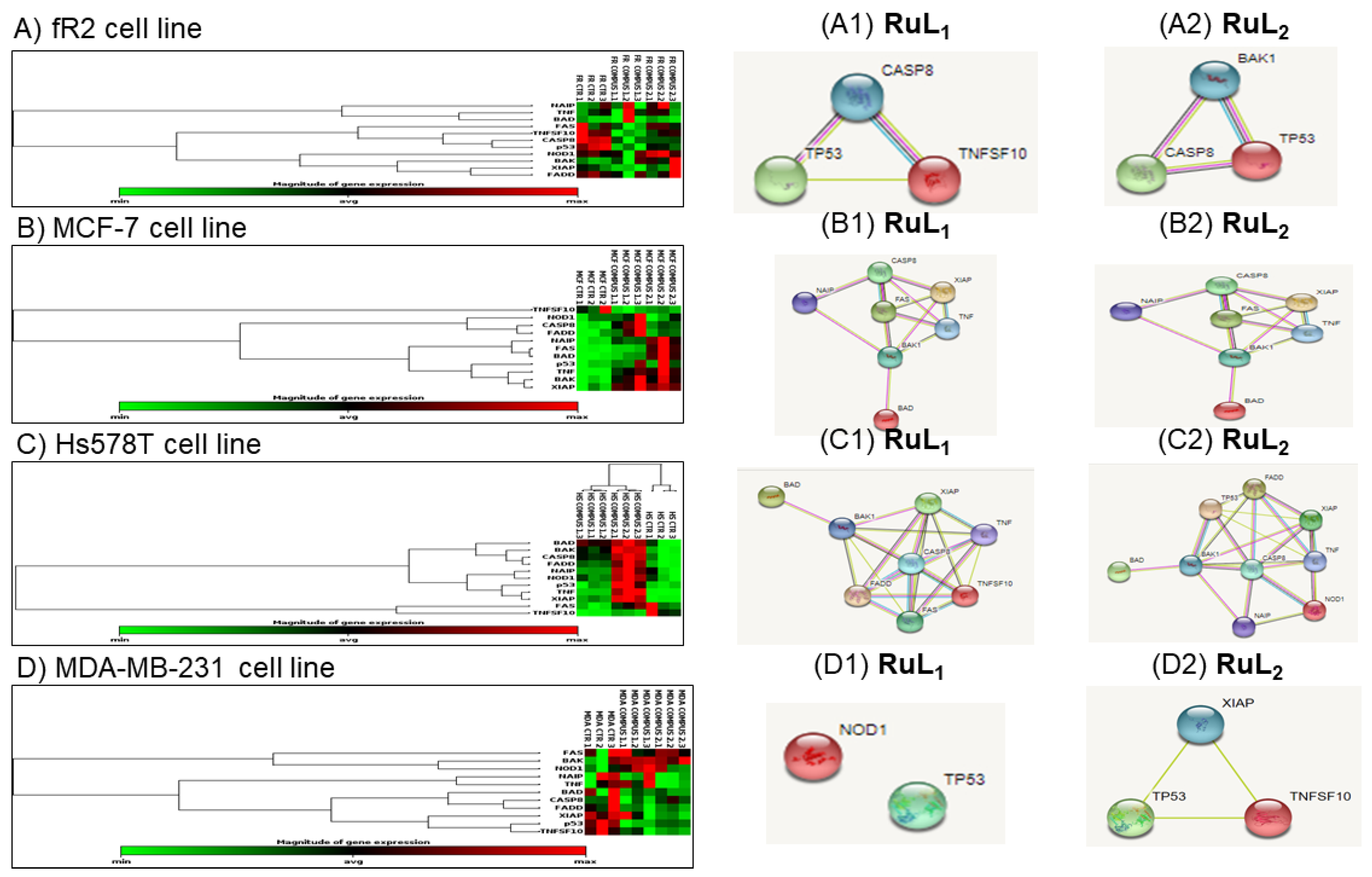 Inorganics 12 00287 g003