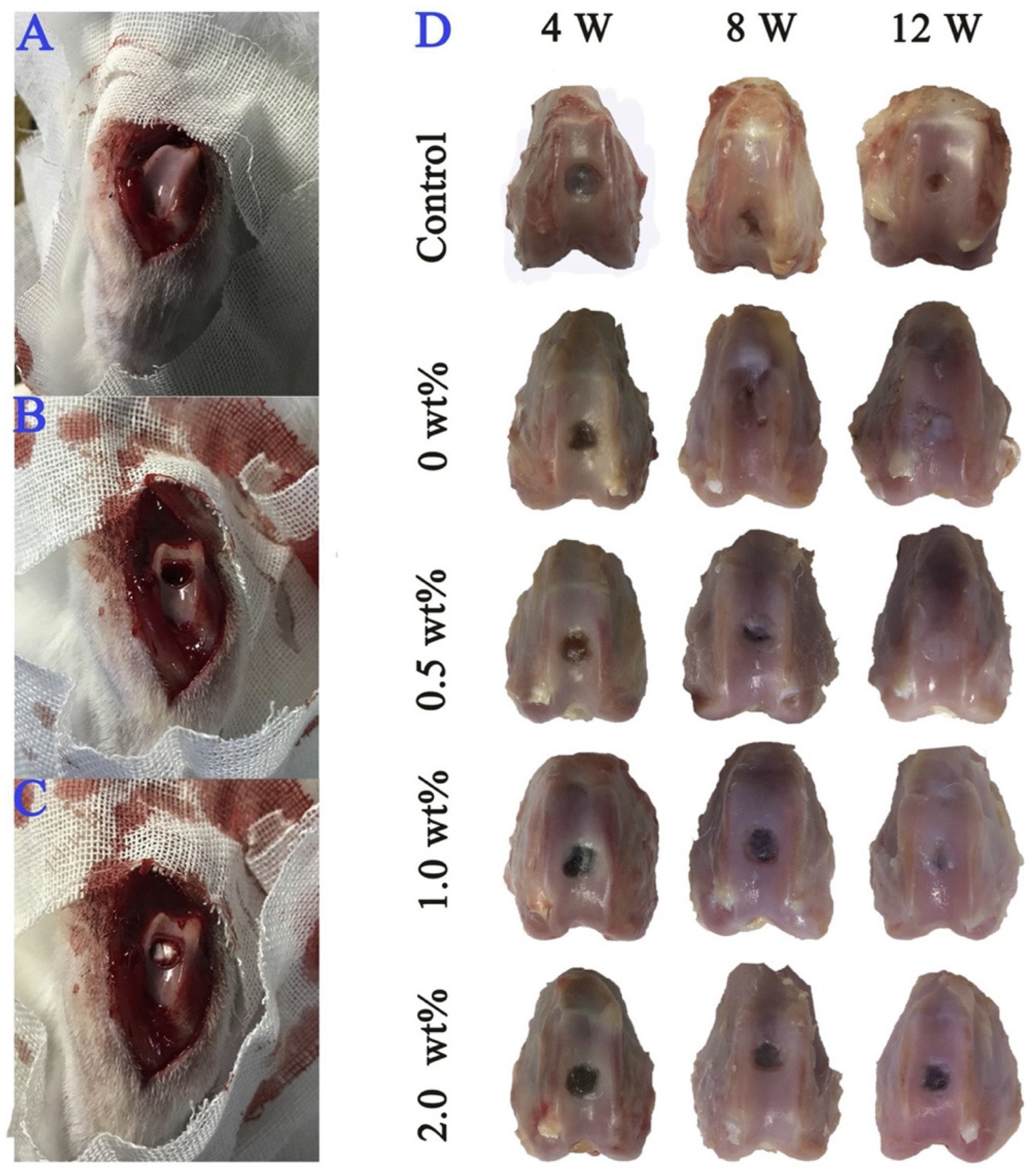 Inorganics 12 00292 g005