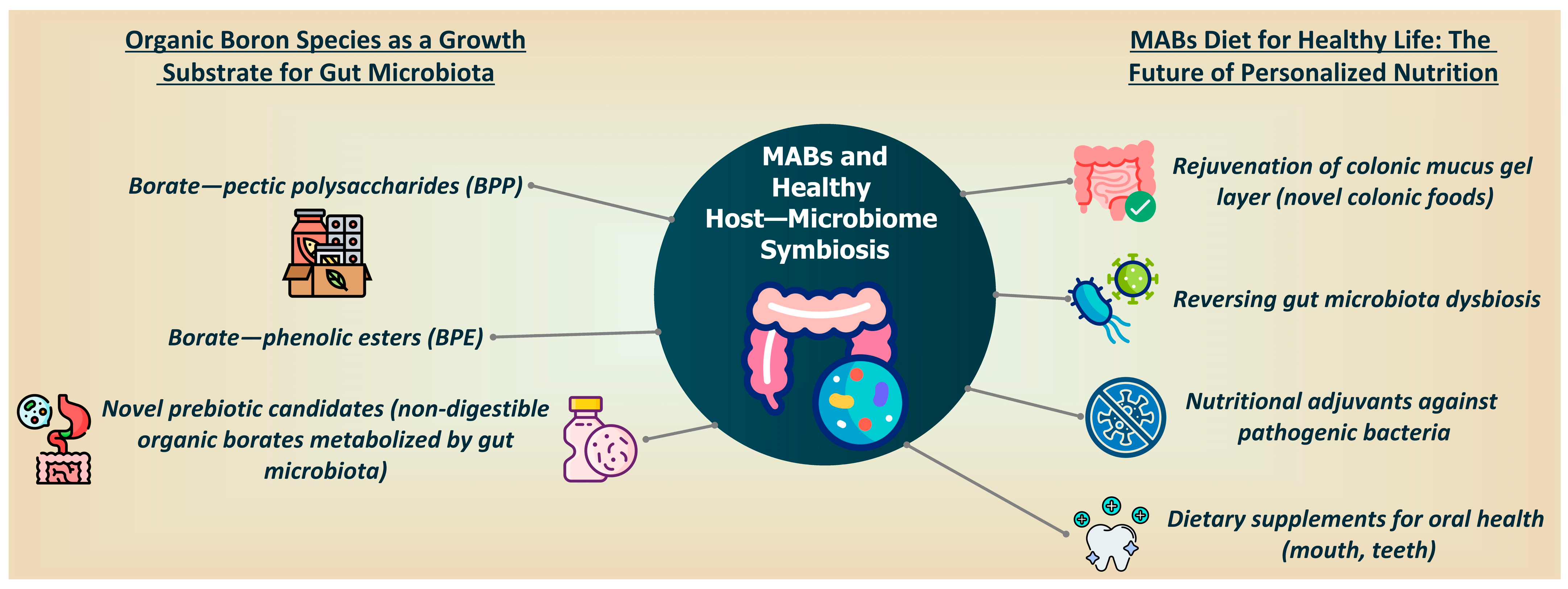 Inorganics 12 00308 g003