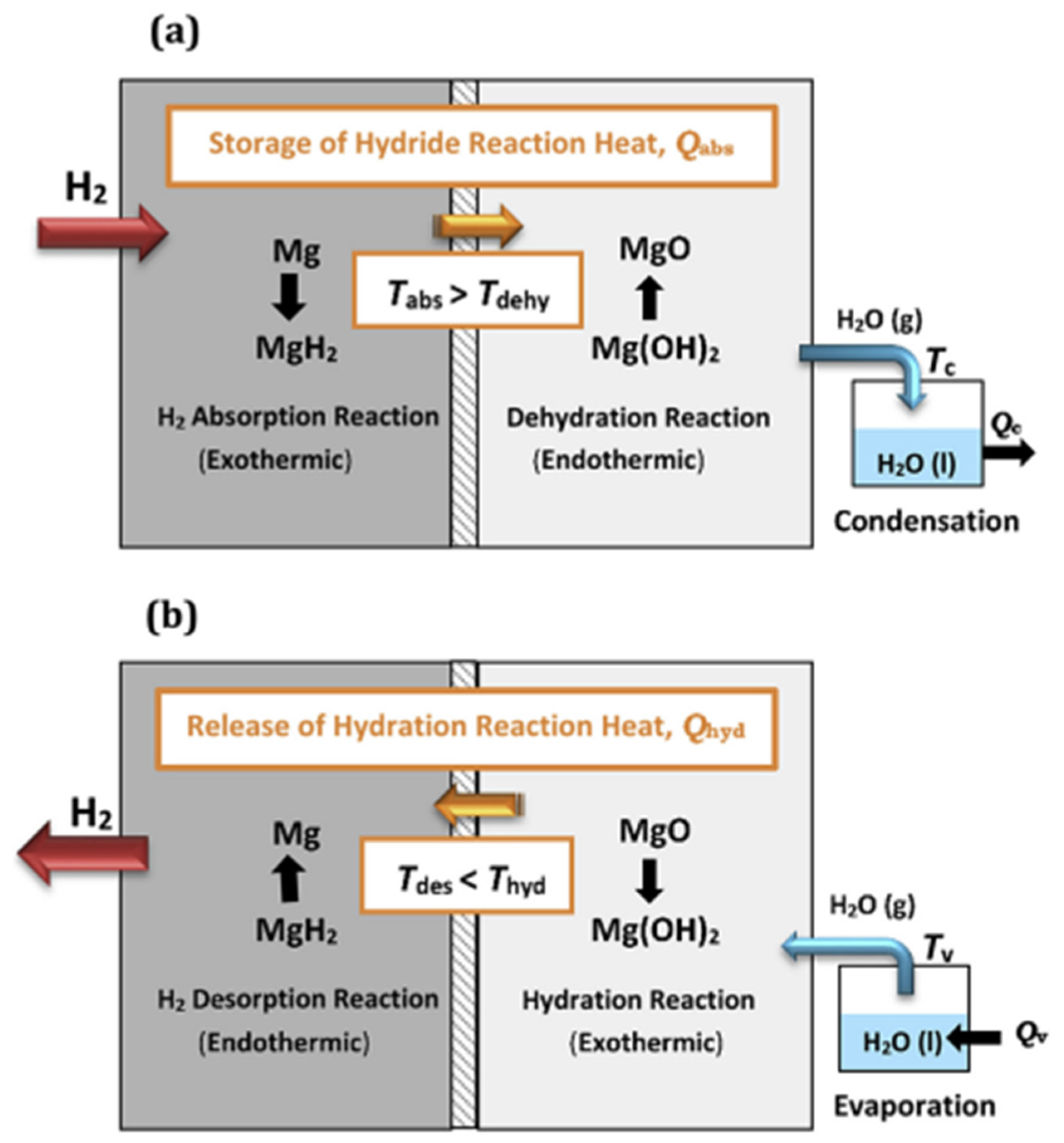 Inorganics 12 00313 g019