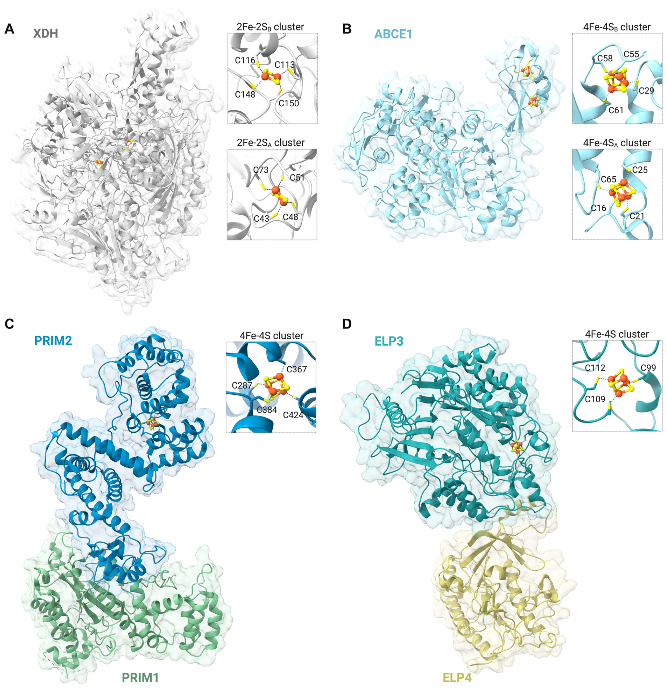 Inorganics 12 00316 g001