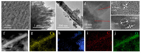 A Novel TiO2-Cuttlebone Photocatalyst for Highly Efficient